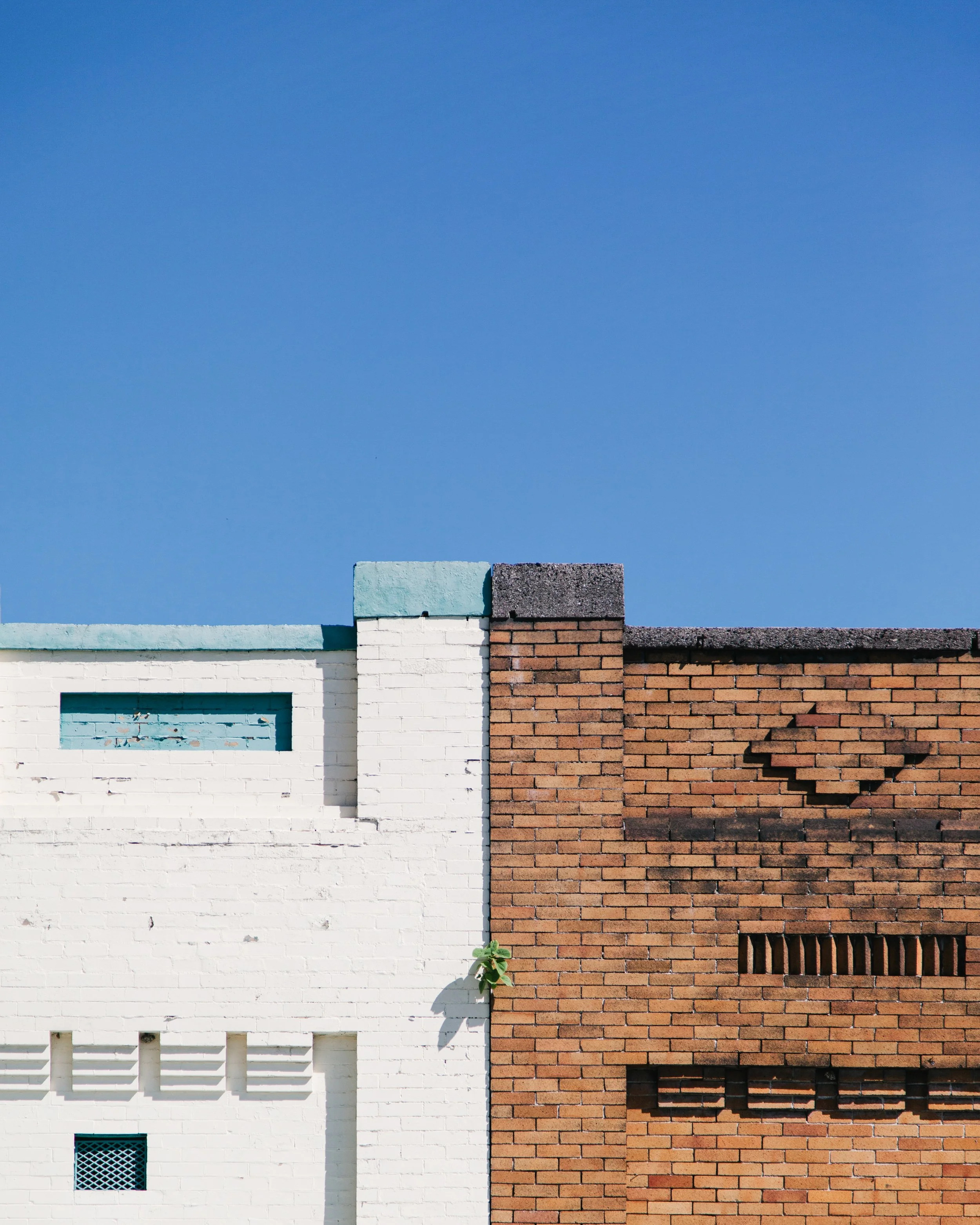 Close-up of a building wall with white and red brick sections, small windows, and a small green plant growing at the bottom, all set against a clear blue sky.