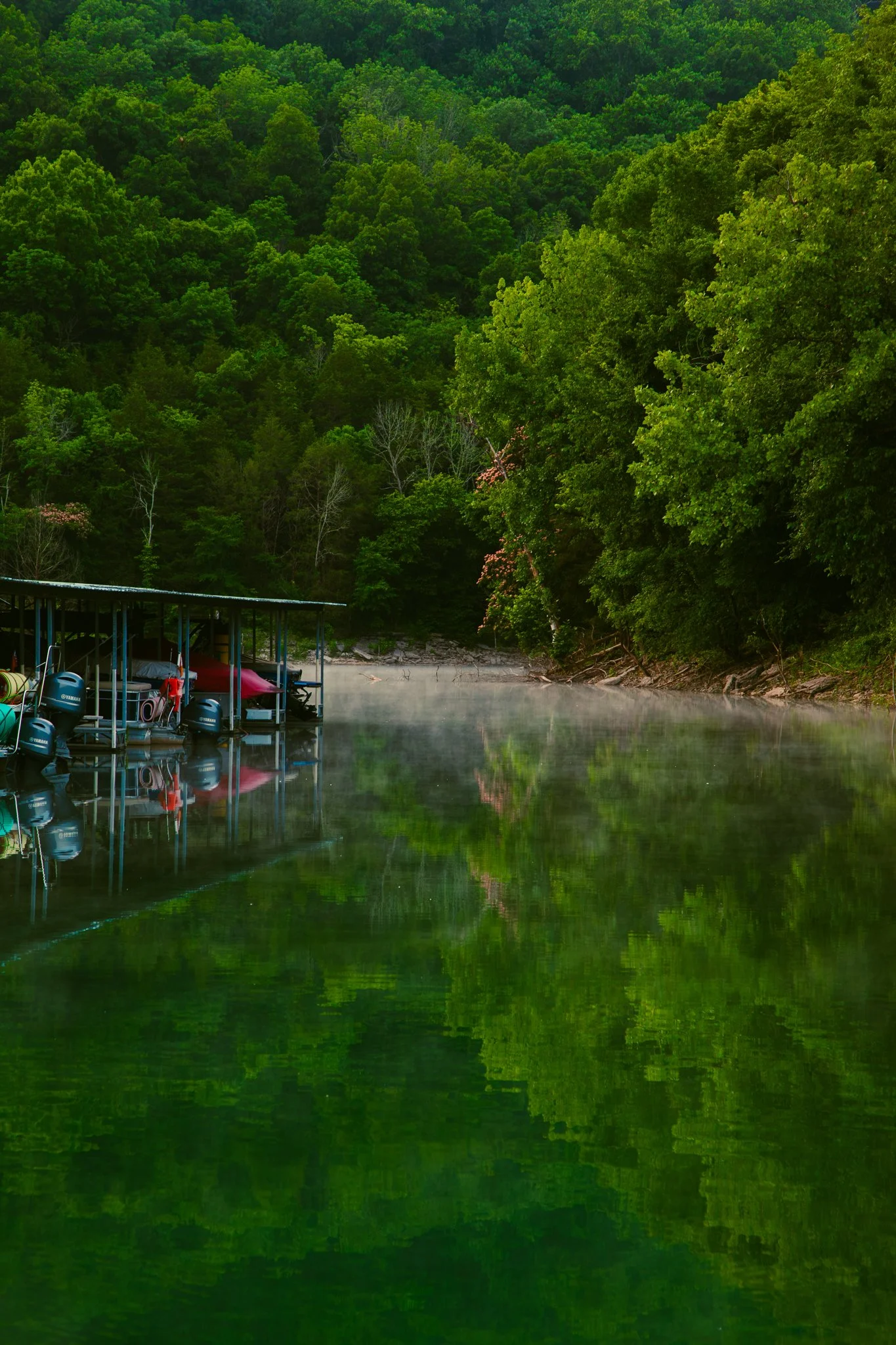 A dock with boats on a calm river, surrounded by lush green trees and forested hills.