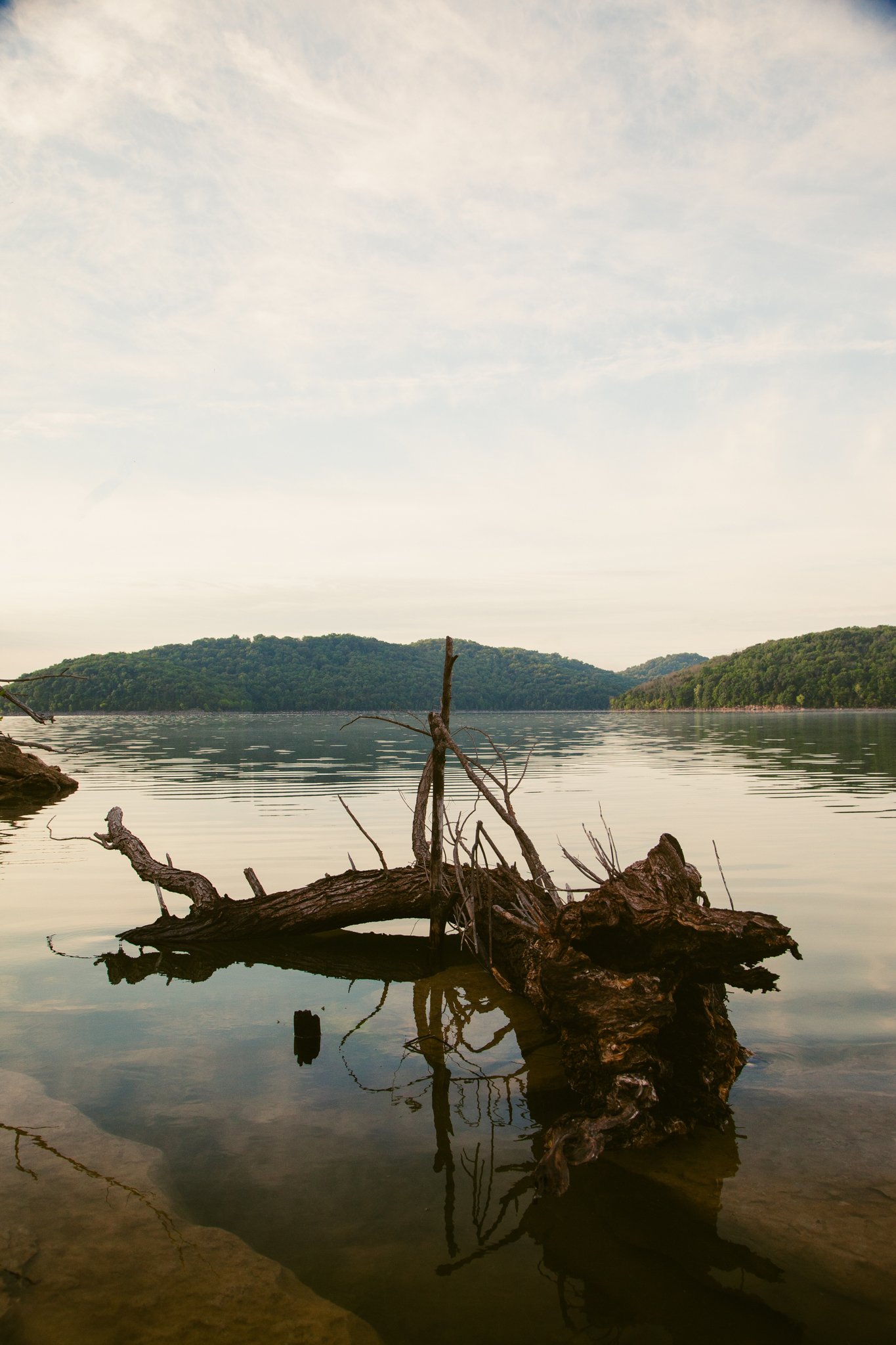 A large fallen tree trunk is submerged in a calm lake, with several smaller branches protruding from it. The water reflects the trunk and branches, and the backdrop features hills covered in green trees under a partly cloudy sky during daylight.