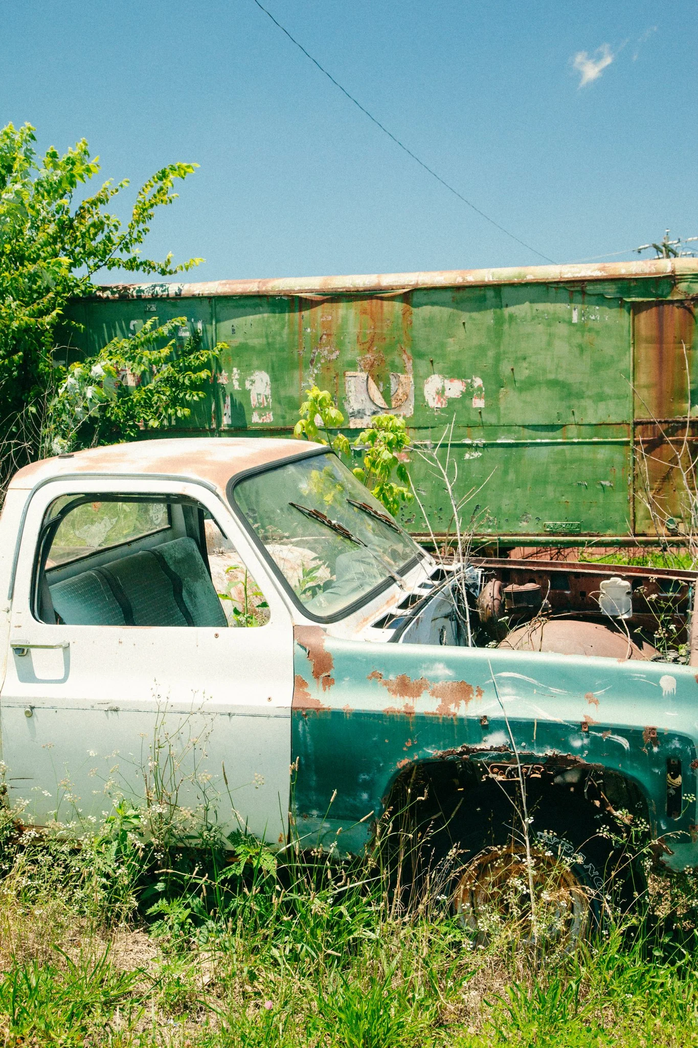 An old, rusted pickup truck with a white cab and green, weathered cargo area, partially obscured by overgrown grass and plants, set against a backdrop of a blue sky with a few clouds and a large green metal container.