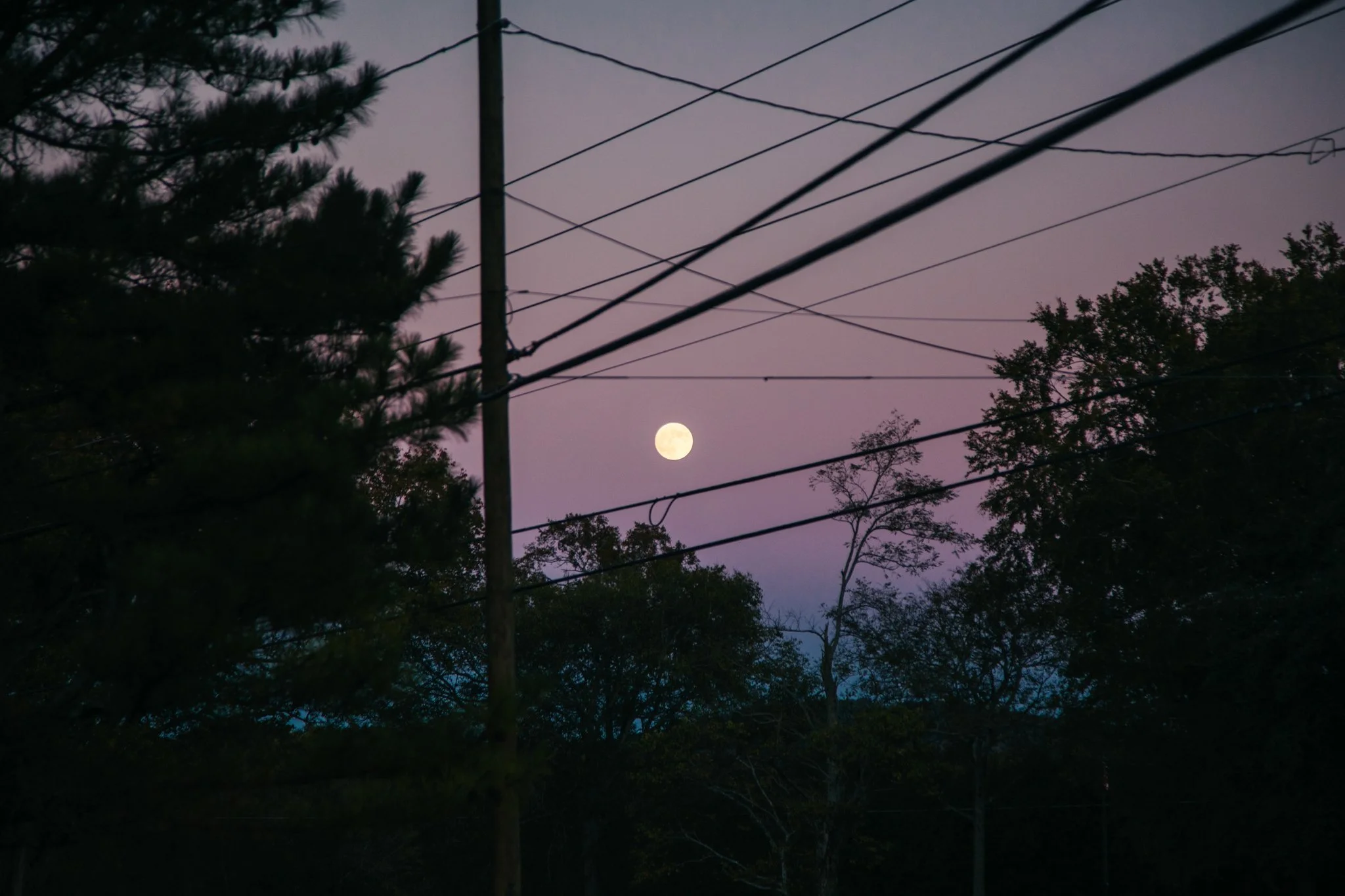 Nighttime scene with the moon visible in the sky, framing trees and power lines.