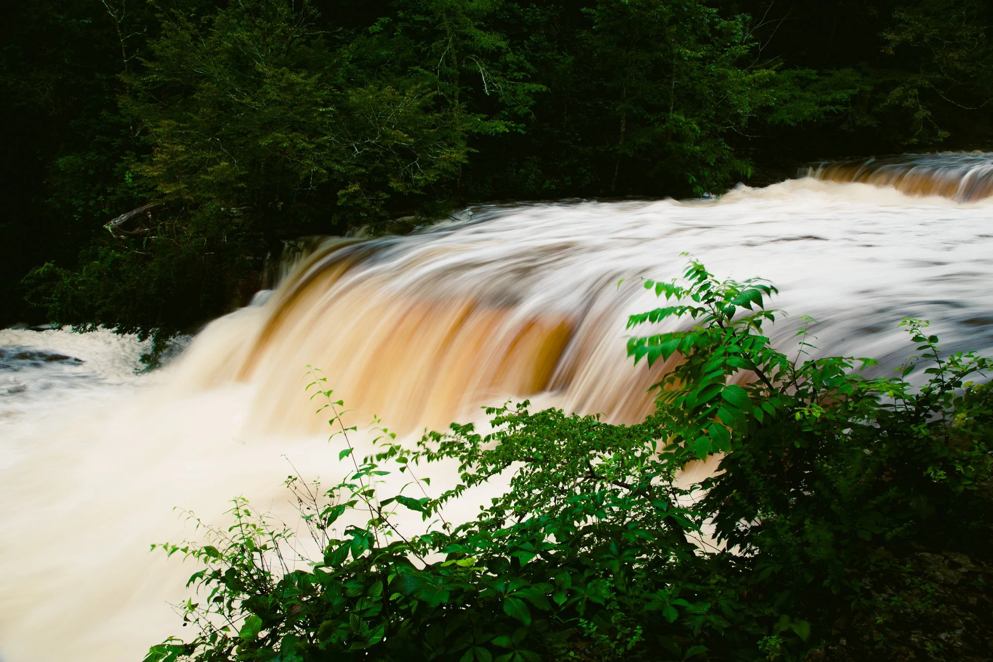 Flowing brownish water over a small waterfall surrounded by dense green foliage.