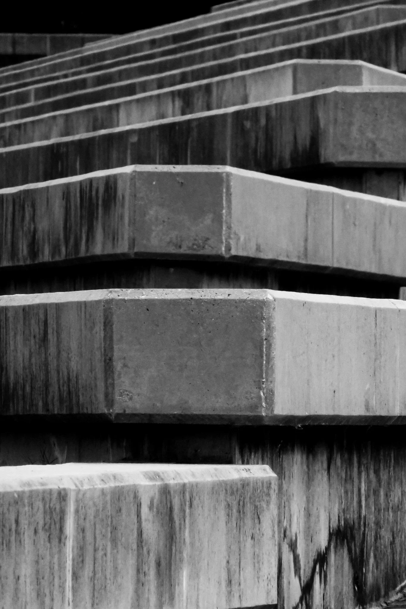 Close-up view of multiple bamboo stalks, focusing on the textures and patterns of the bamboo in black and white.