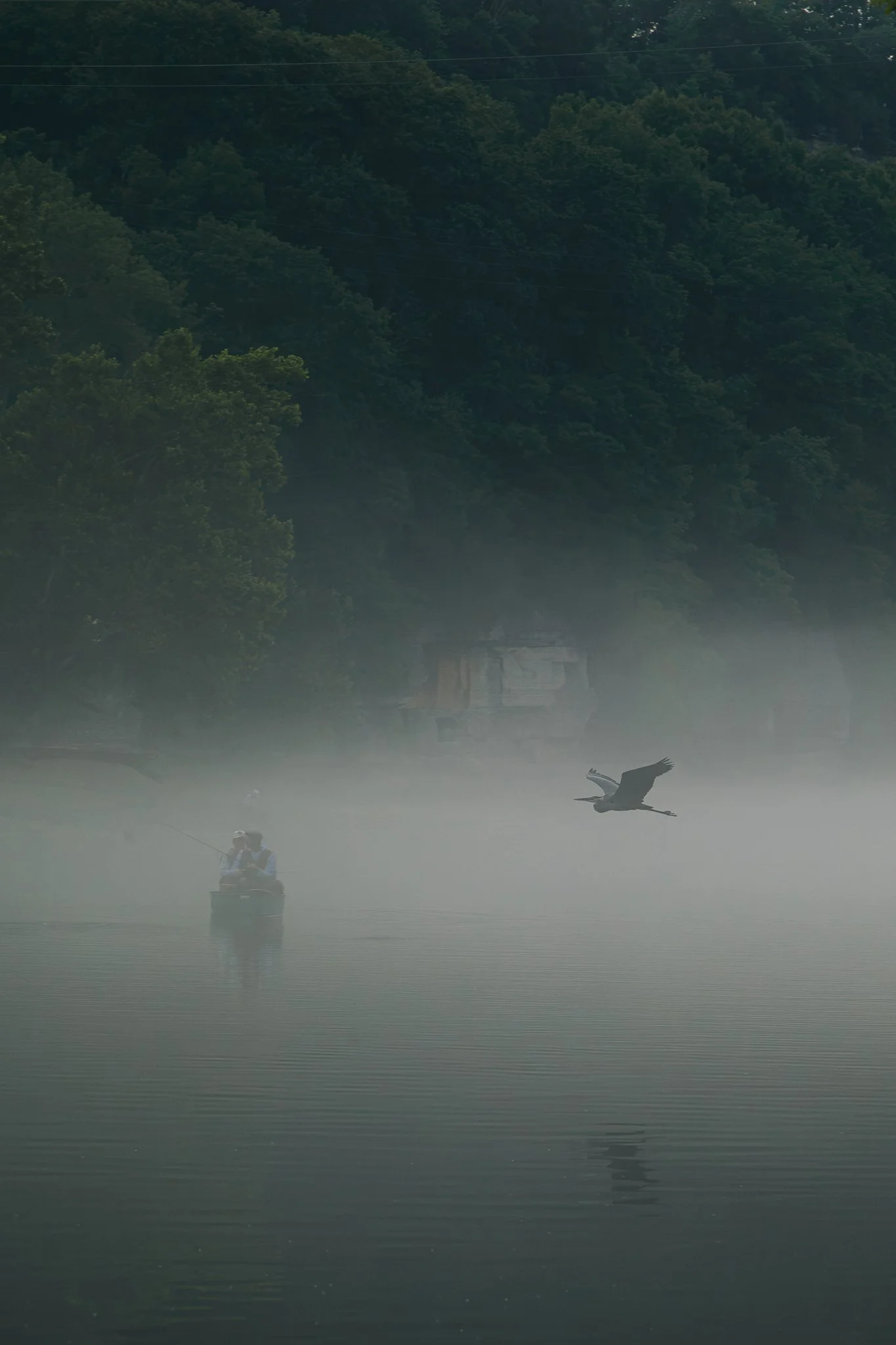 A person fishing from a small boat on a foggy lake, with a heron flying nearby and dense trees in the background.