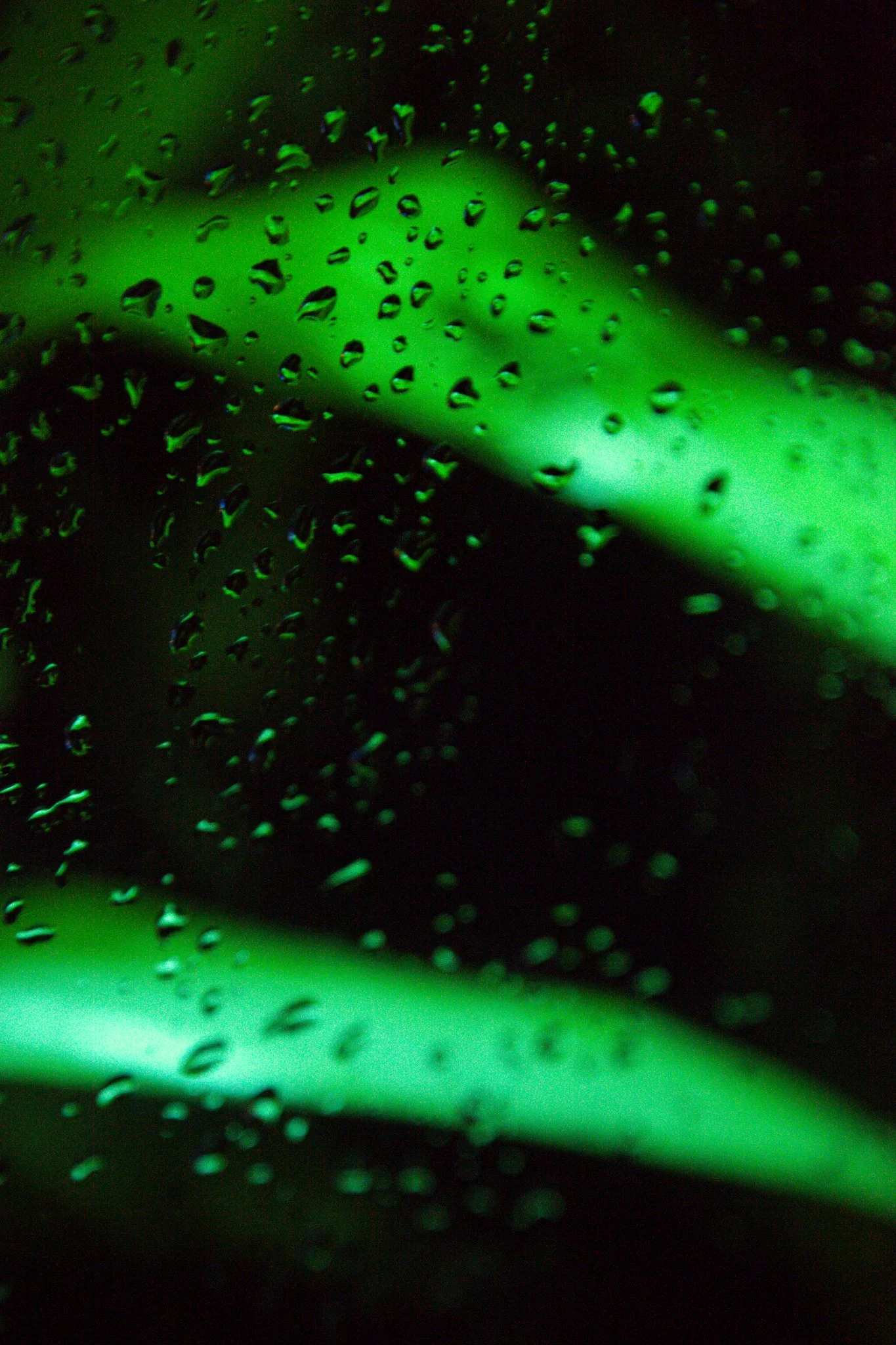 Close-up of a green surface with water droplets on it, illuminated with green light.