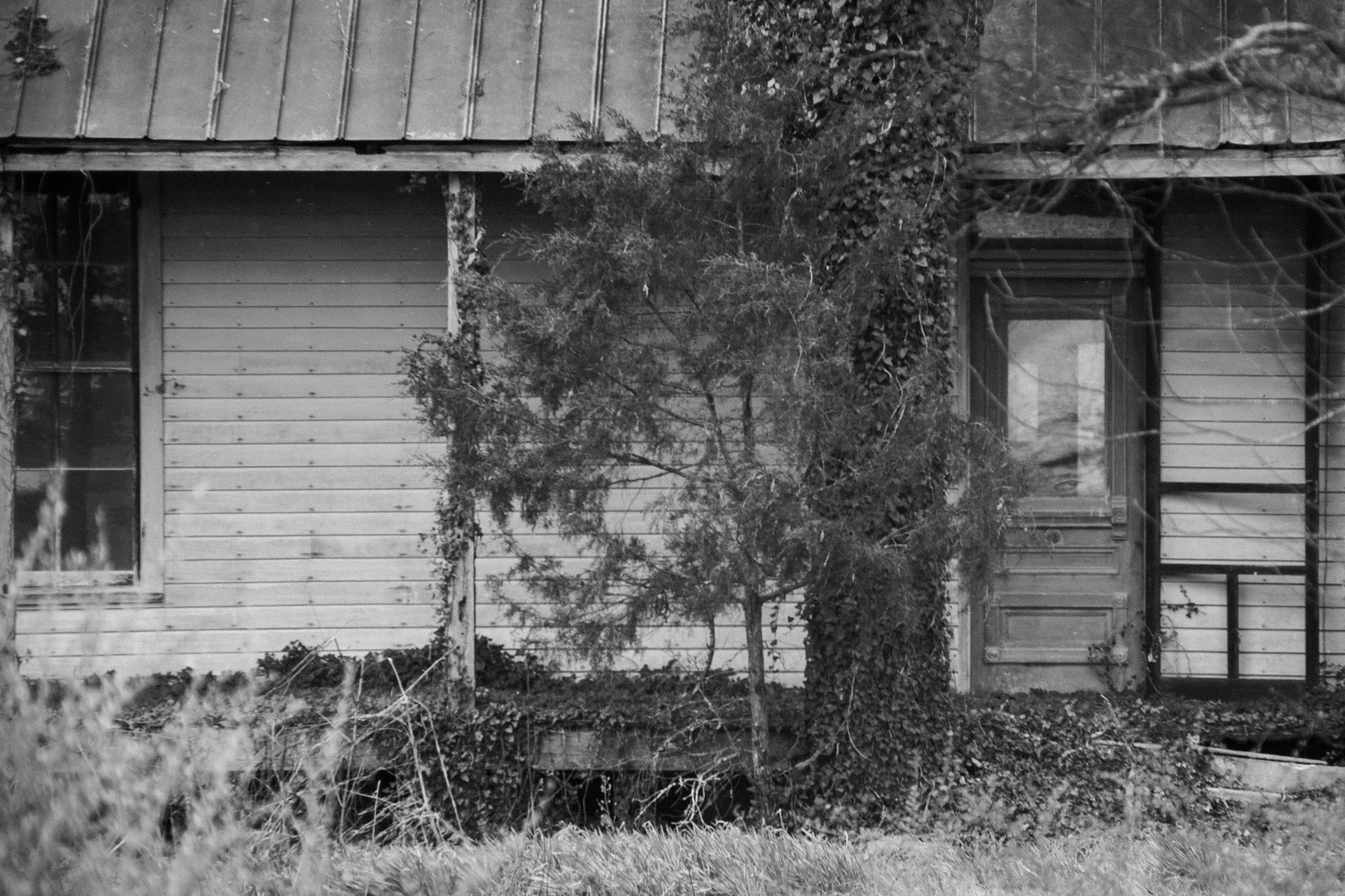 A black and white photo of an exterior of a house with horizontal siding, windows, and a sloped roof. There are trees and bushes in front of the house along with overgrown grass and weeds.