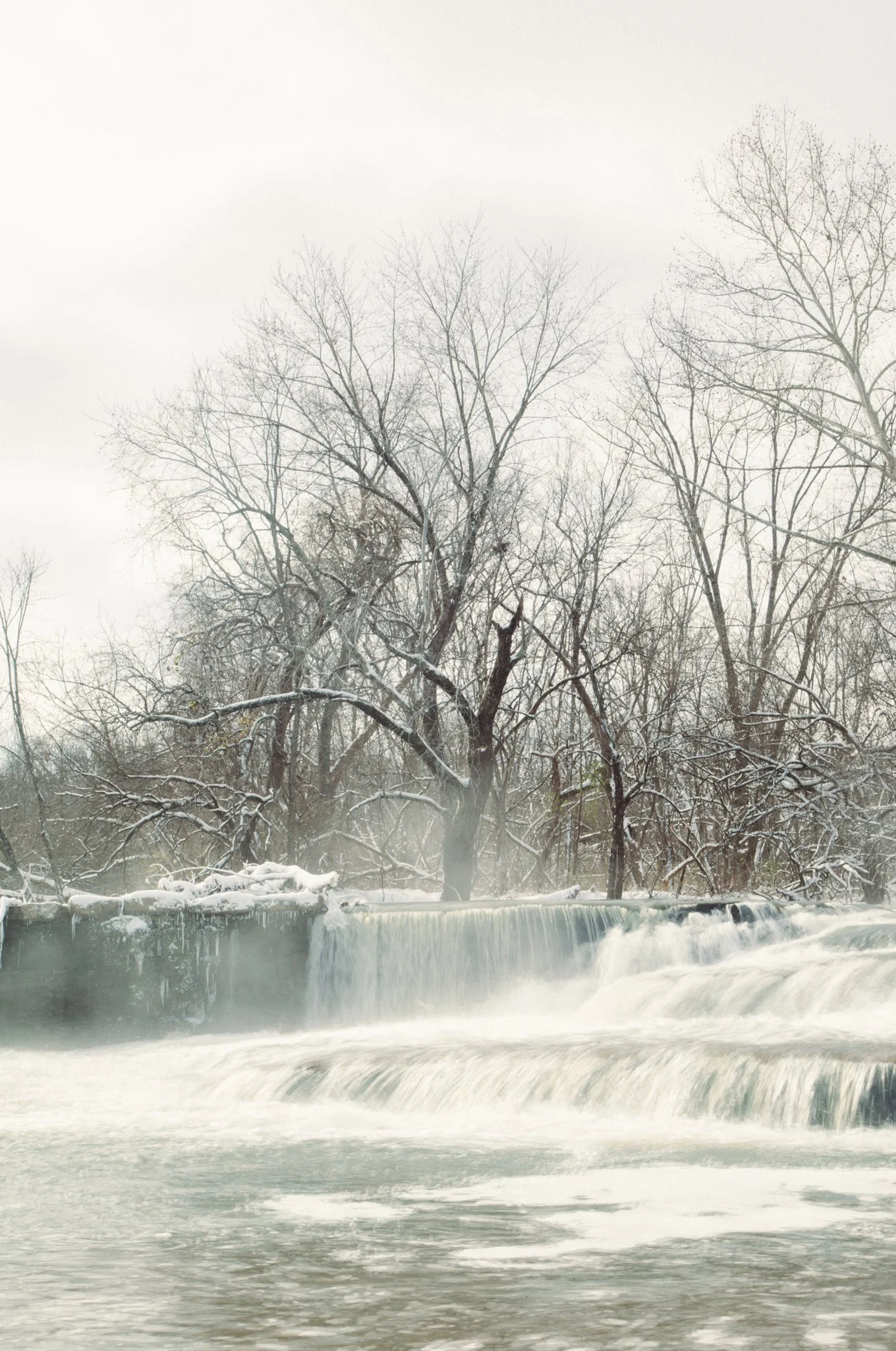 Snow-covered trees near a waterfall with mist in a winter landscape.