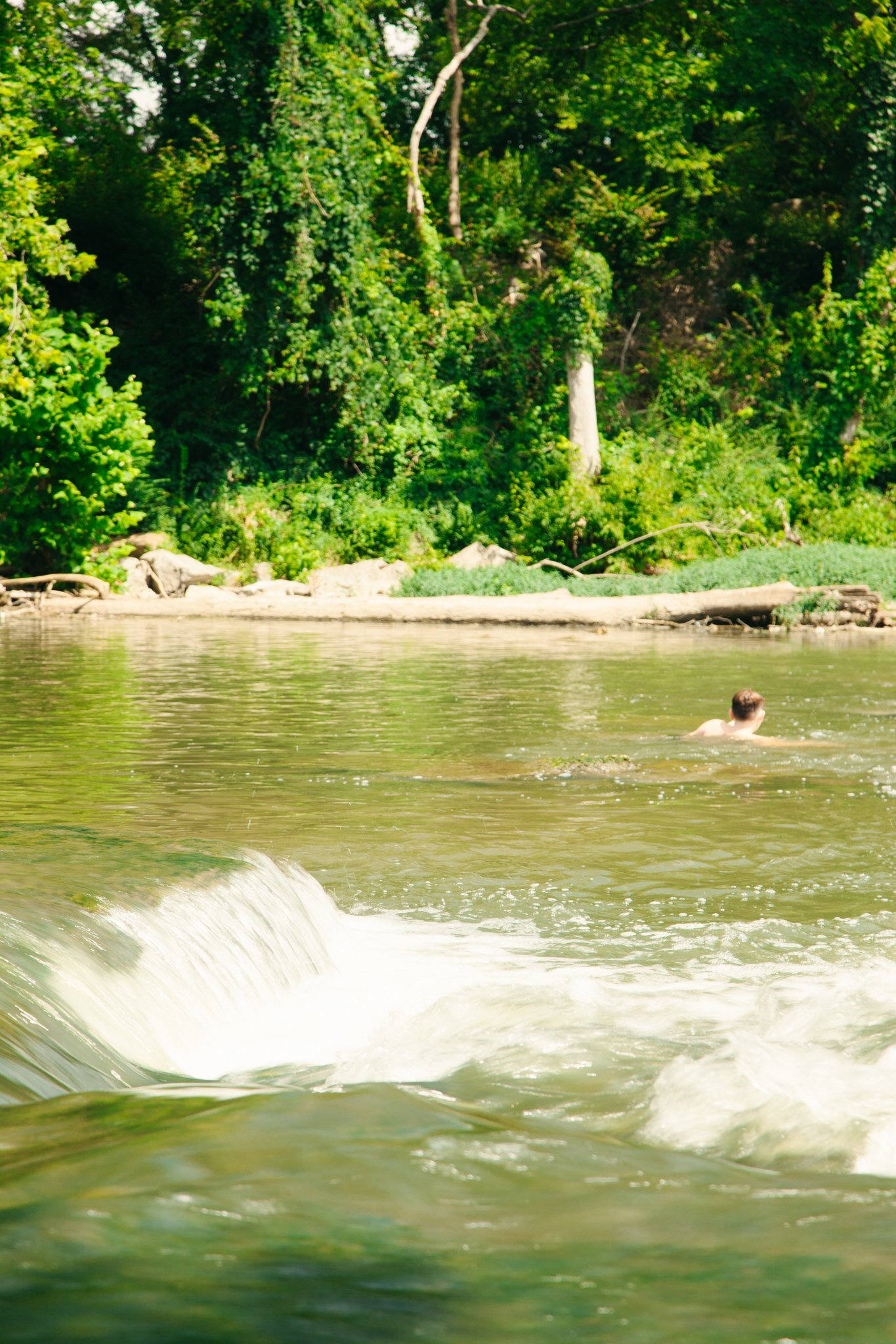 A person swimming in a river with lush green trees along the riverbank, a small waterfall at the foreground.