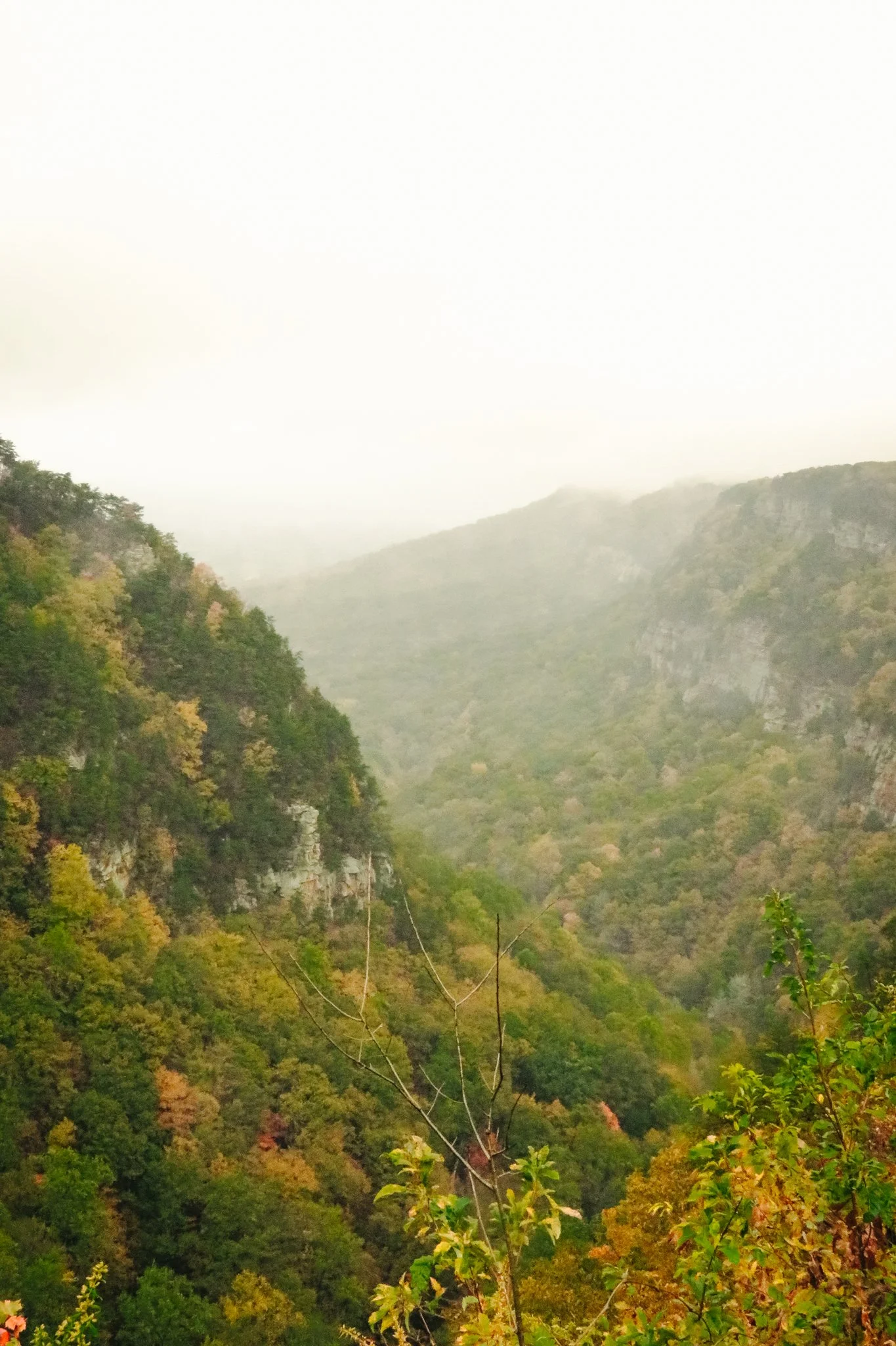 A foggy valley with trees and mountains covered in dense forest showing green and autumn colors.