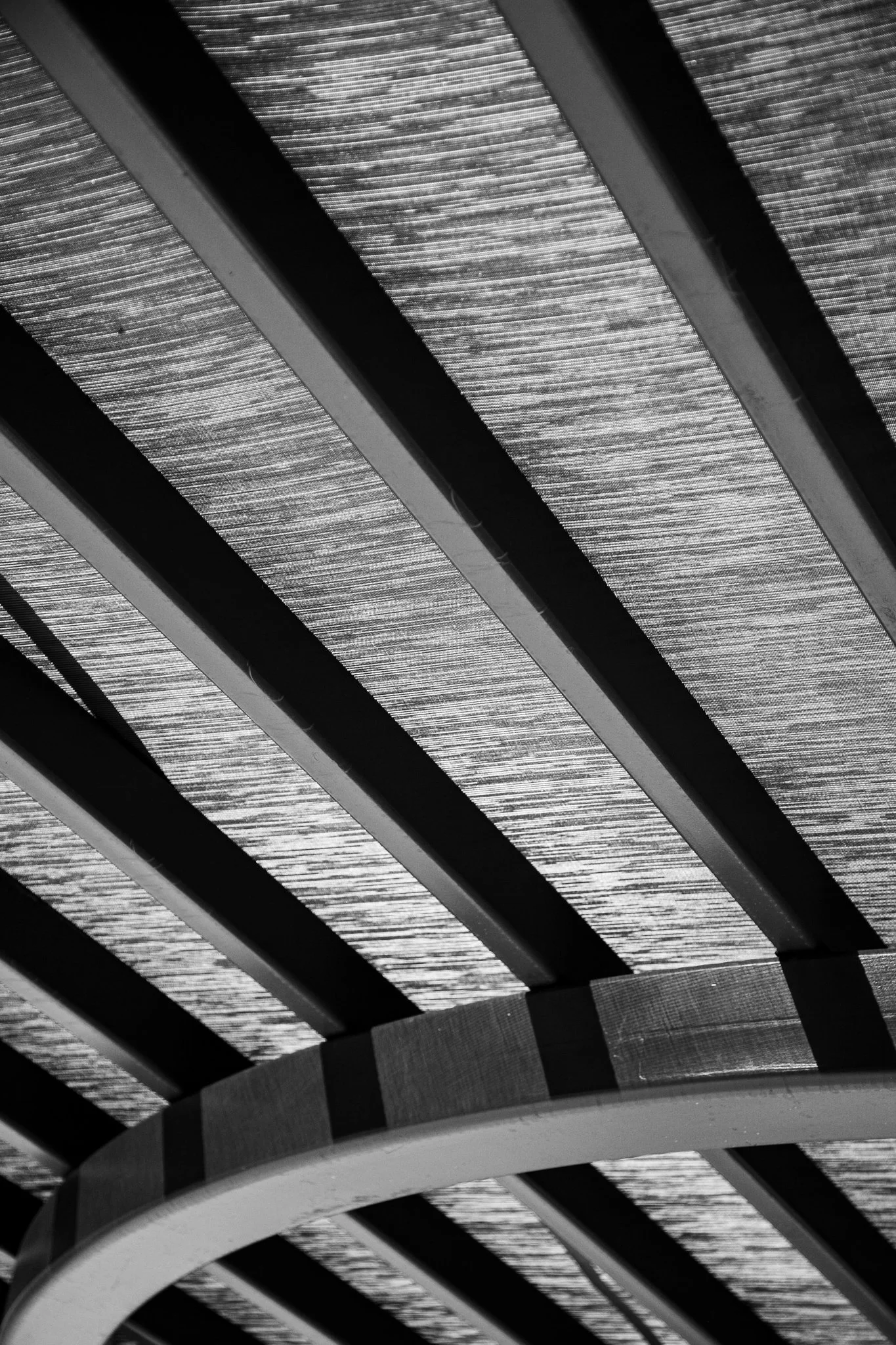 Black and white photo of a ceiling with wooden beams and skylights.