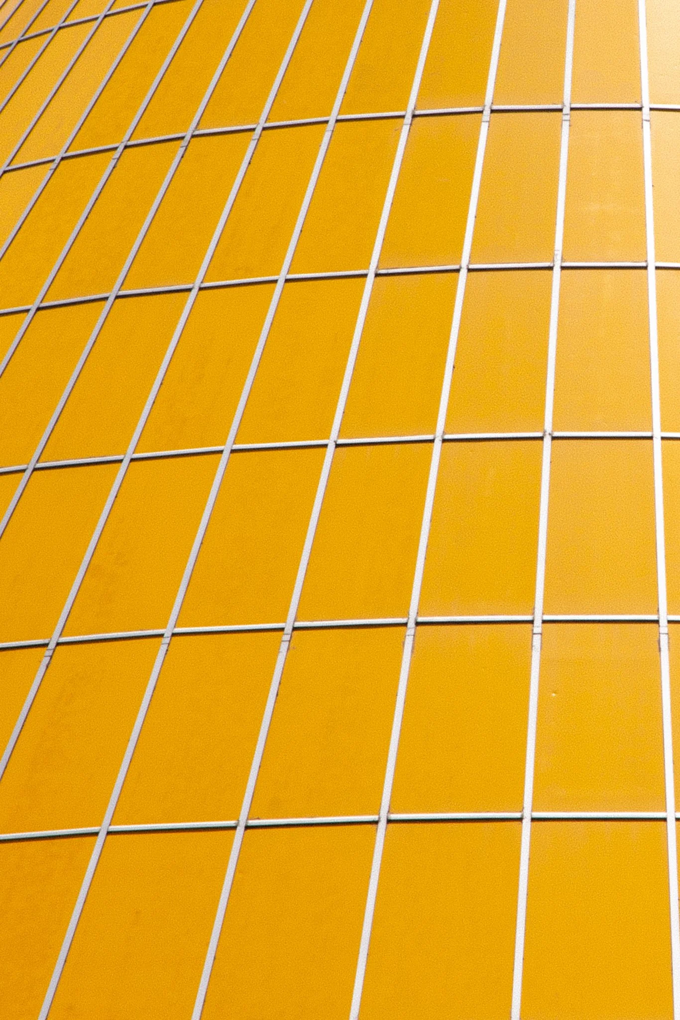 Close-up of a yellow curved surface with white grid lines.