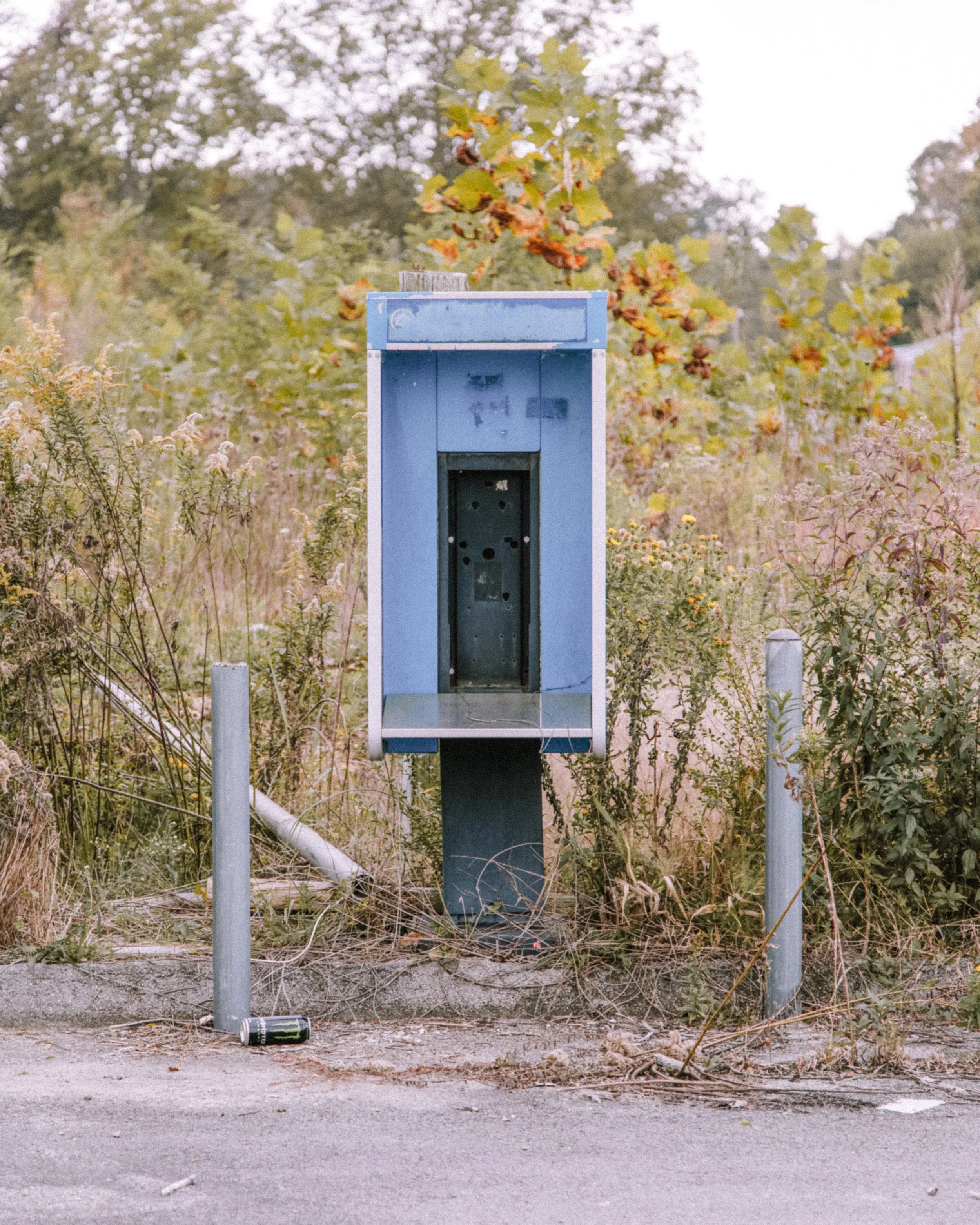 An empty, blue and black public telephone booth on a sidewalk in a natural setting with dense vegetation and trees in the background.
