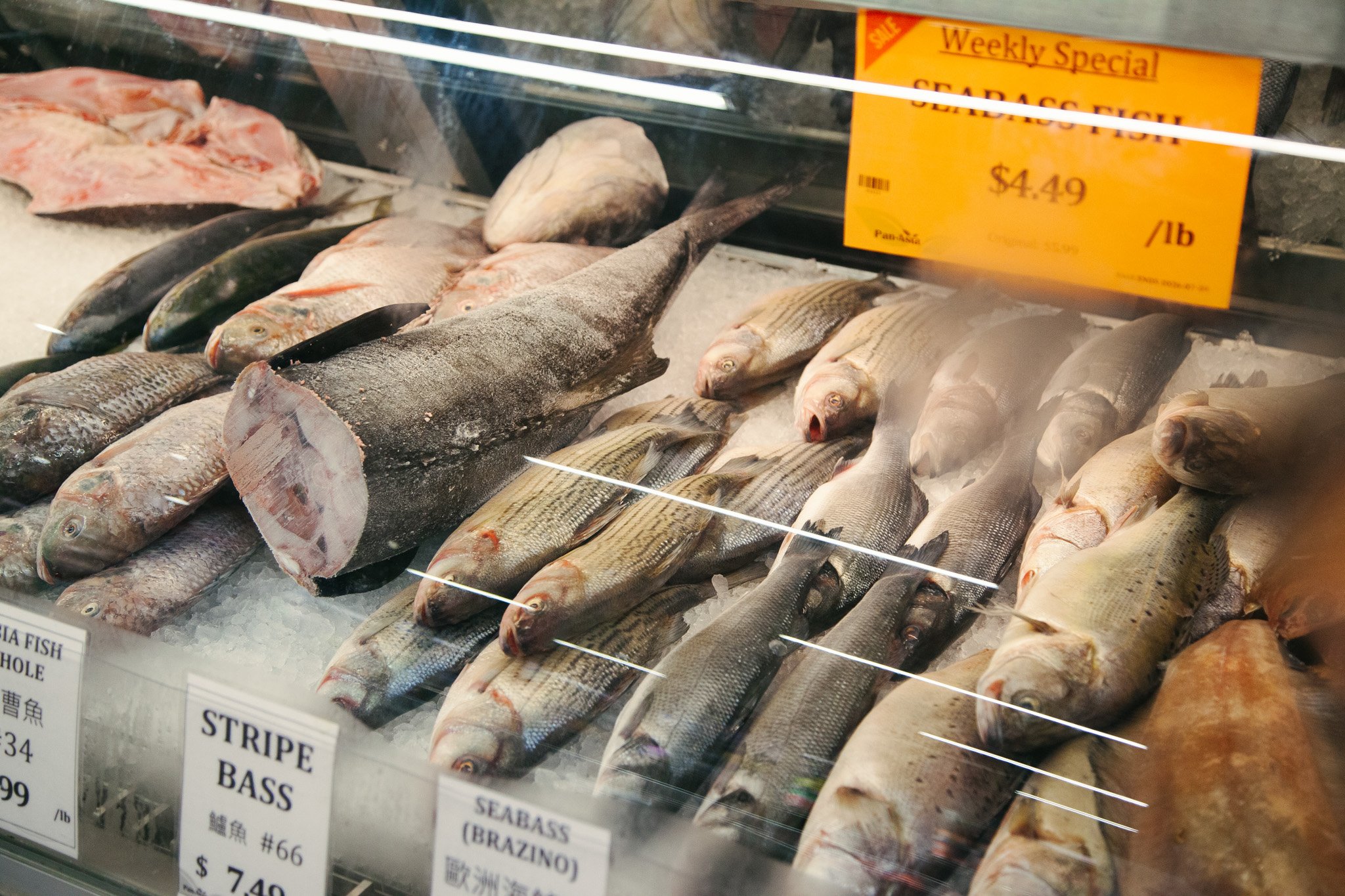 Display case with fresh fish on ice, including various species like striped bass and seabass, with a yellow sign indicating weekly special on Gulf Coast fish priced at $4.49 per pound.