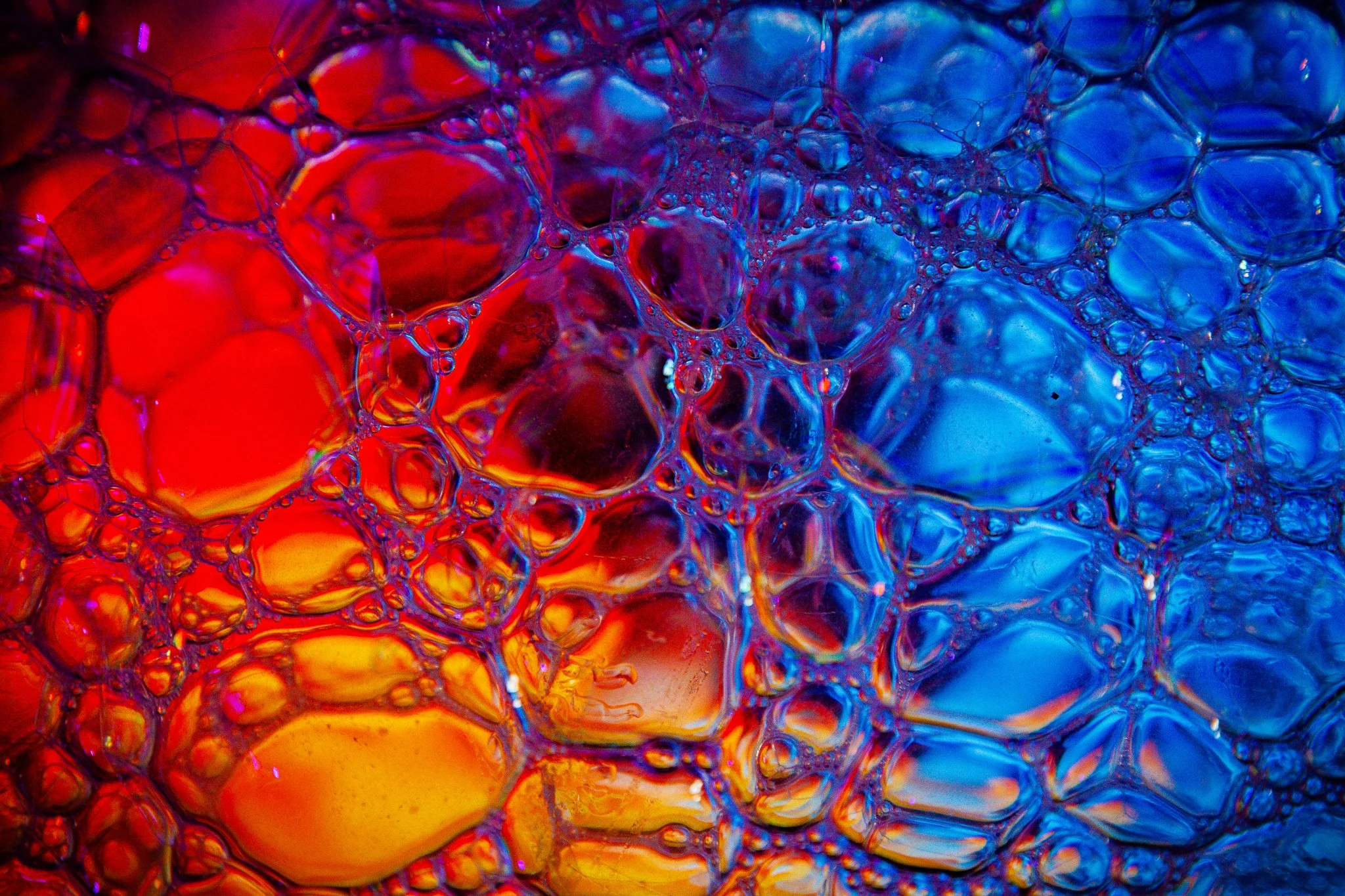 Close-up of colorful soap bubbles in red, blue, and yellow hues with thin, iridescent film connecting the bubbles.