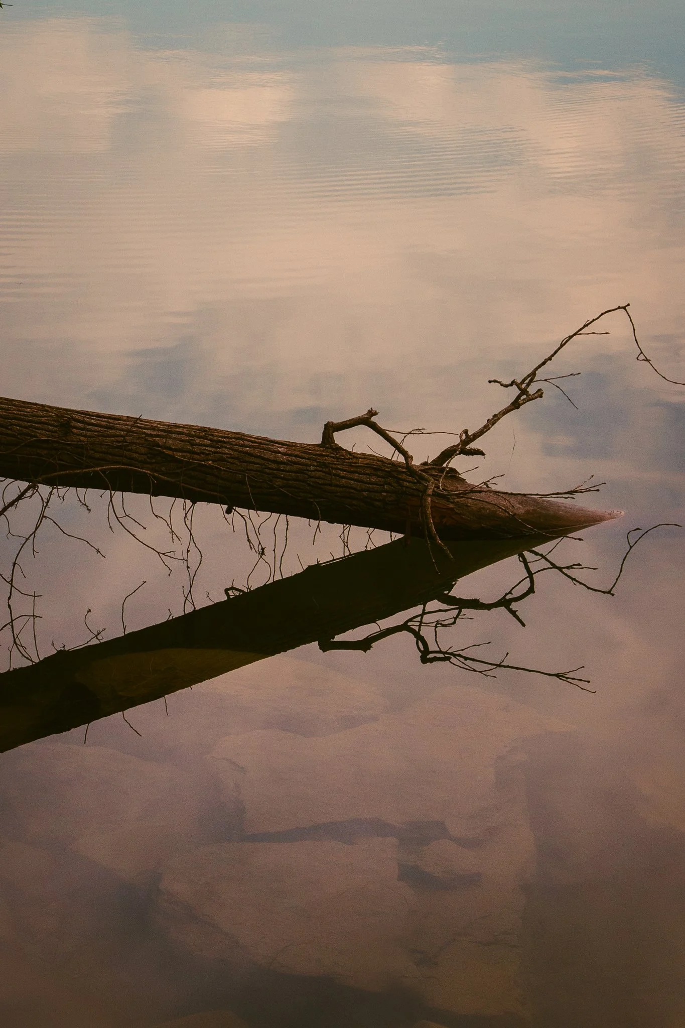 Reflection of a cloudy sky and a leafless tree branch on a body of water, with a fallen tree submerged in the water.