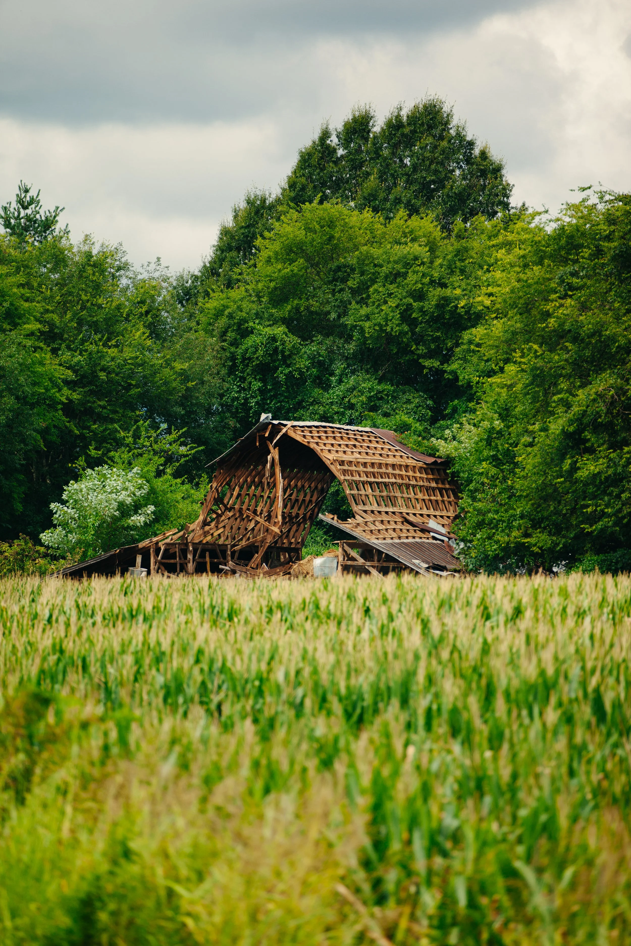 An abandoned wooden structure in a lush green field surrounded by dense trees under a cloudy sky.