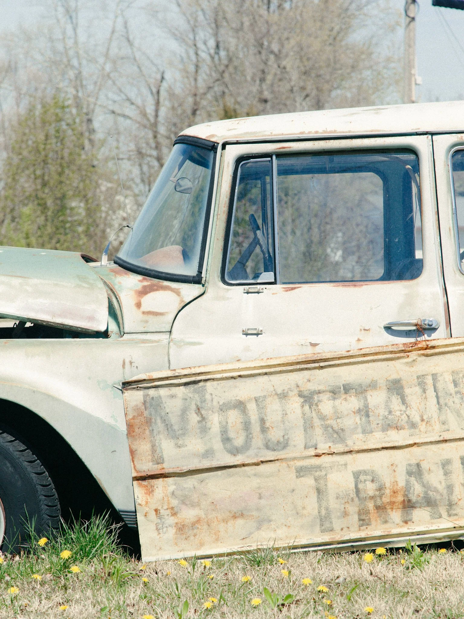 Close-up of an old, weathered truck with rust and chipped paint, parked on grass with yellow dandelions, against a backdrop of leafless trees.