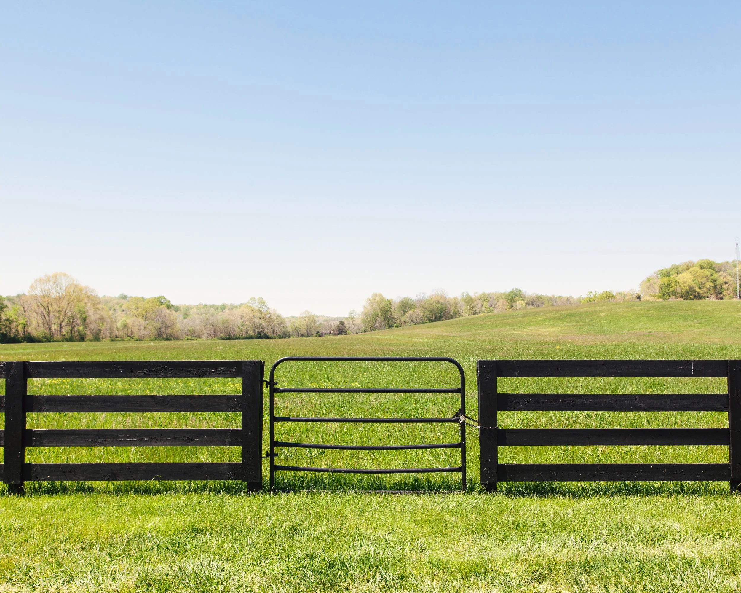 A landscape view through a black metal gate, overlooking a green field, trees, and a hill, under a clear blue sky.