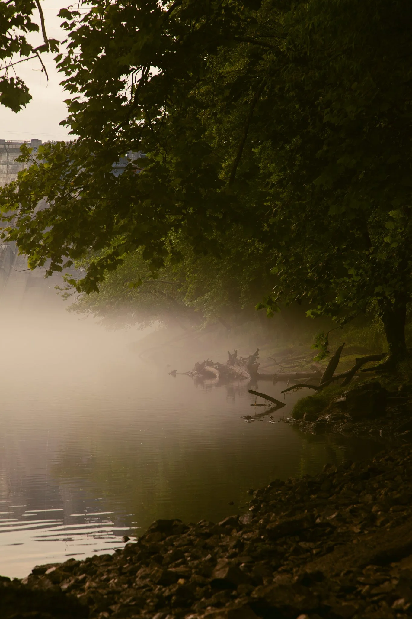 A misty river scene at dawn with calm water, overhanging trees, rocks along the shoreline, and a faint outline of a dam in the background.
