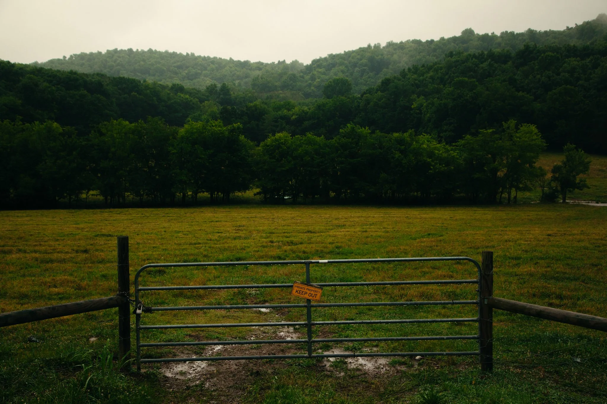 A gated grassy field with a sign that reads 'Private Property Keep Out,' situated in front of a forested hillside during foggy weather.