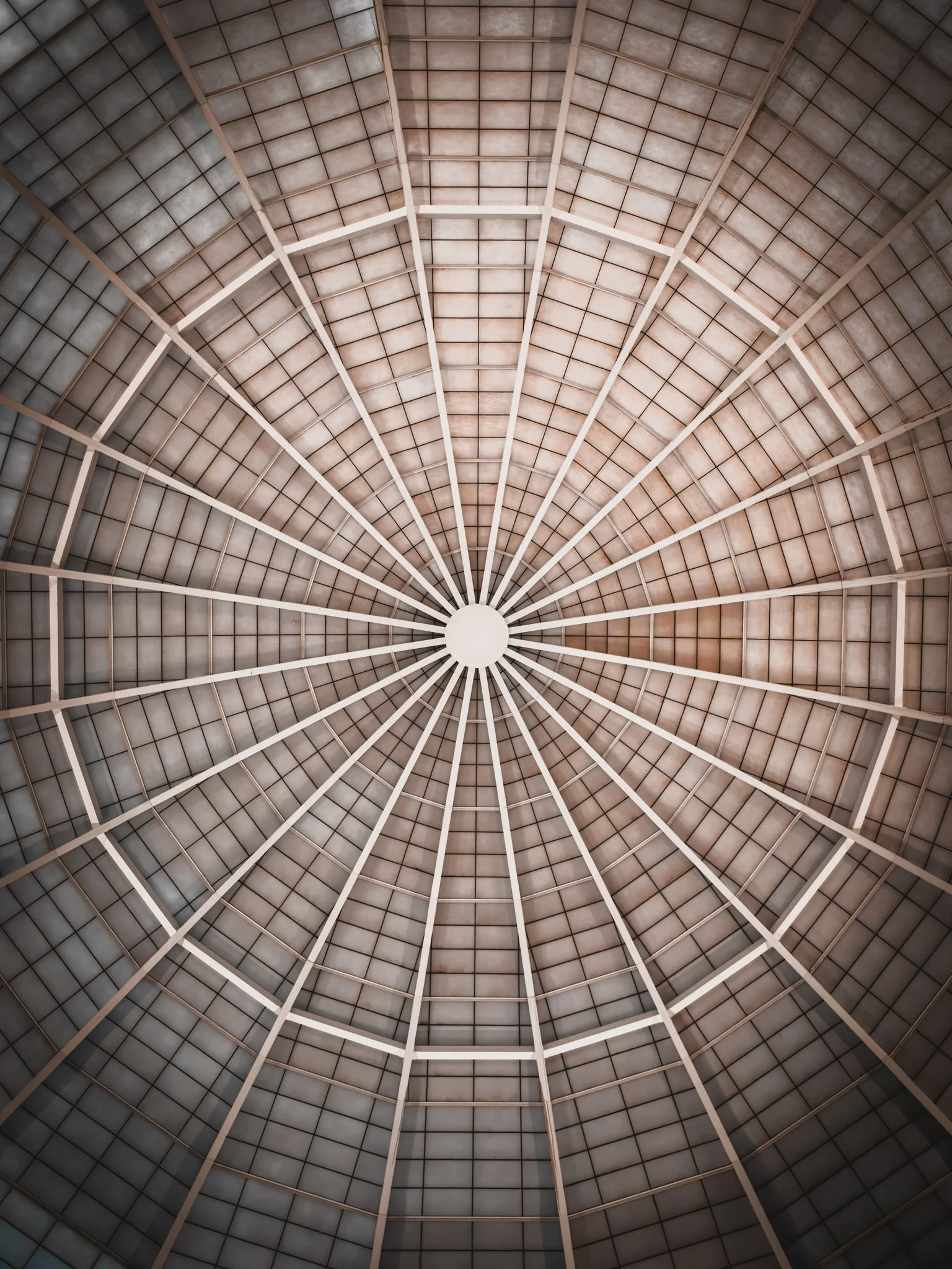 Looking up at a dome ceiling with a radial pattern of beams and grid-like panels.