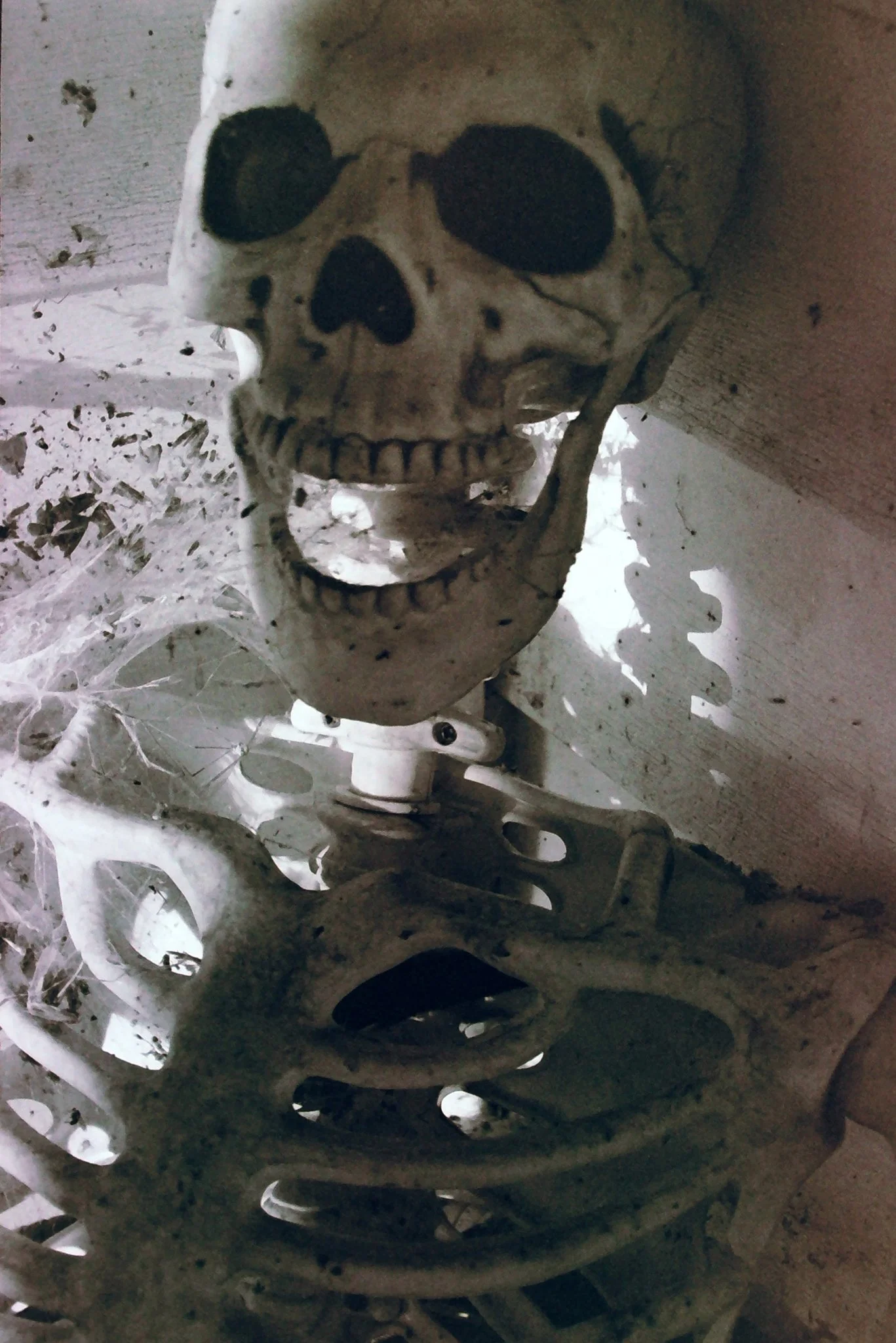 A skull sculpture of a human skull, mounted on a structure made of bones and other materials, in a dimly lit setting with spider webs and dust.