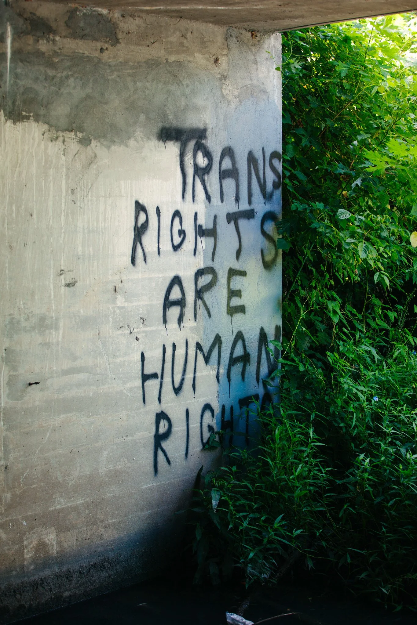 Graffiti on a concrete wall with the phrase 'T R A N S RIGHTS ARE HUMAN' written in black spray paint. Surrounding the wall are green plants and foliage.