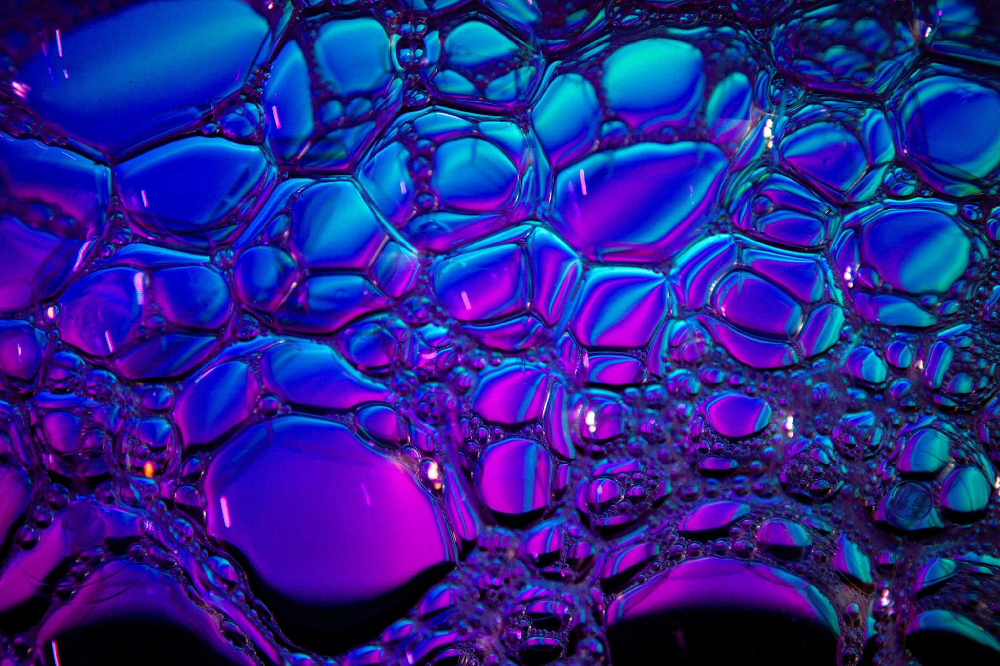 Close-up of iridescent soap bubbles with vibrant purple and blue reflections.