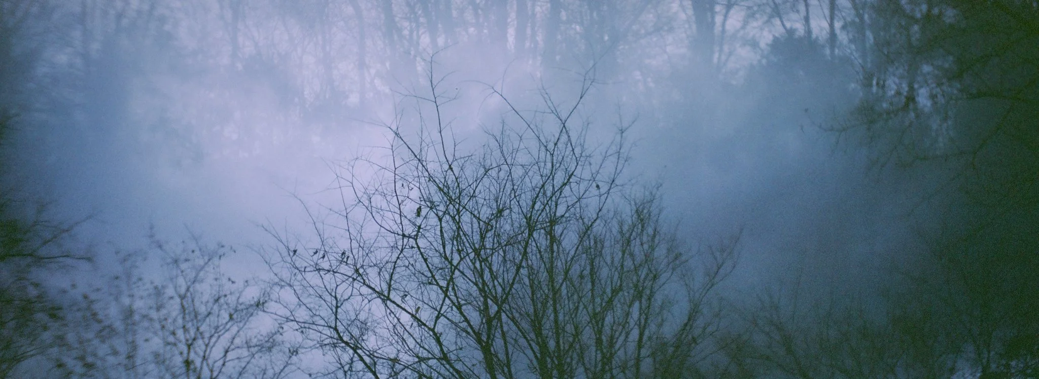 Overcast sky with leafless tree branches against the cloudy blue-gray sky.