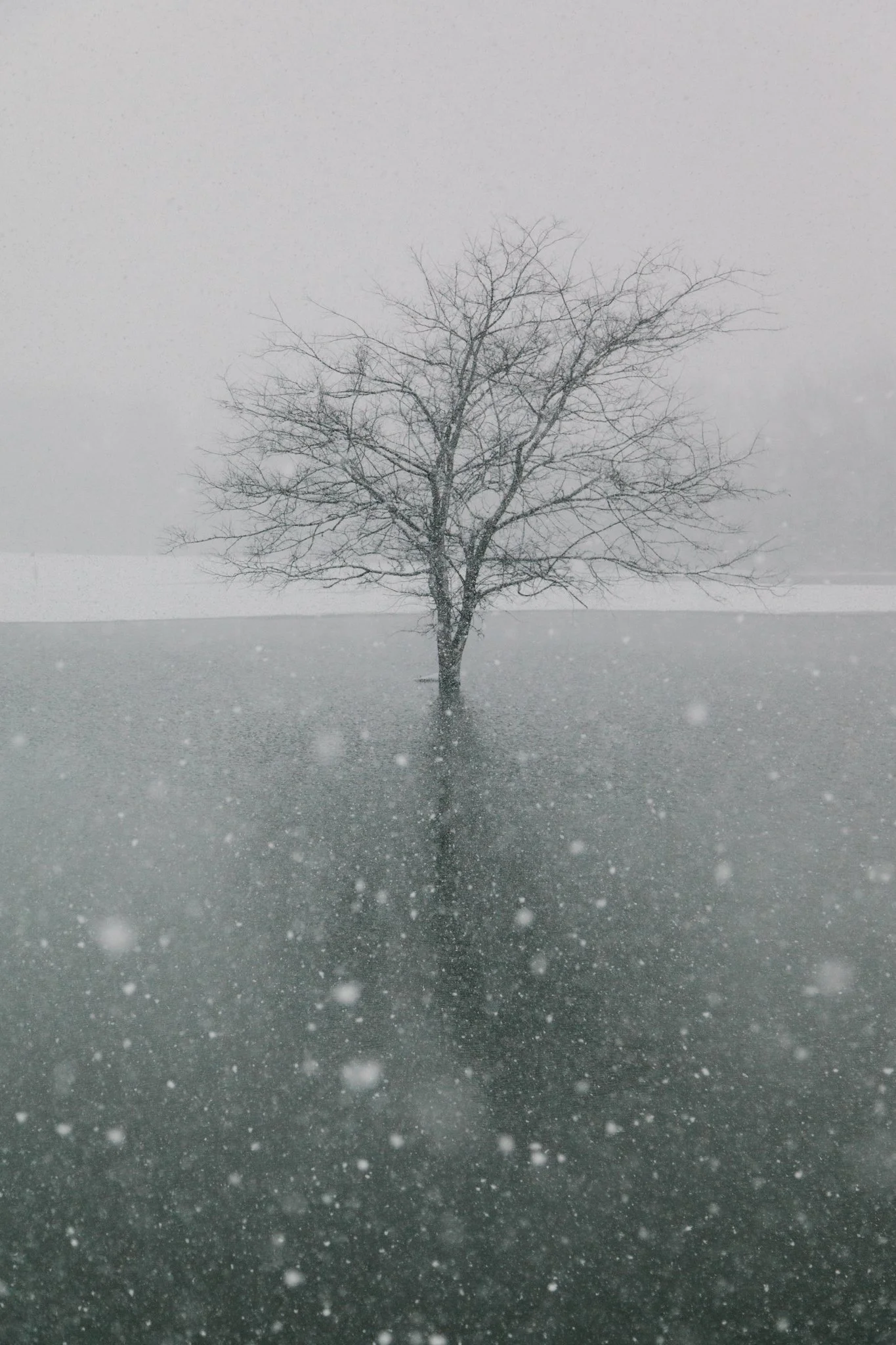 A solitary, leafless tree standing in a body of water during a snowstorm, with snowflakes falling heavily and a foggy sky.