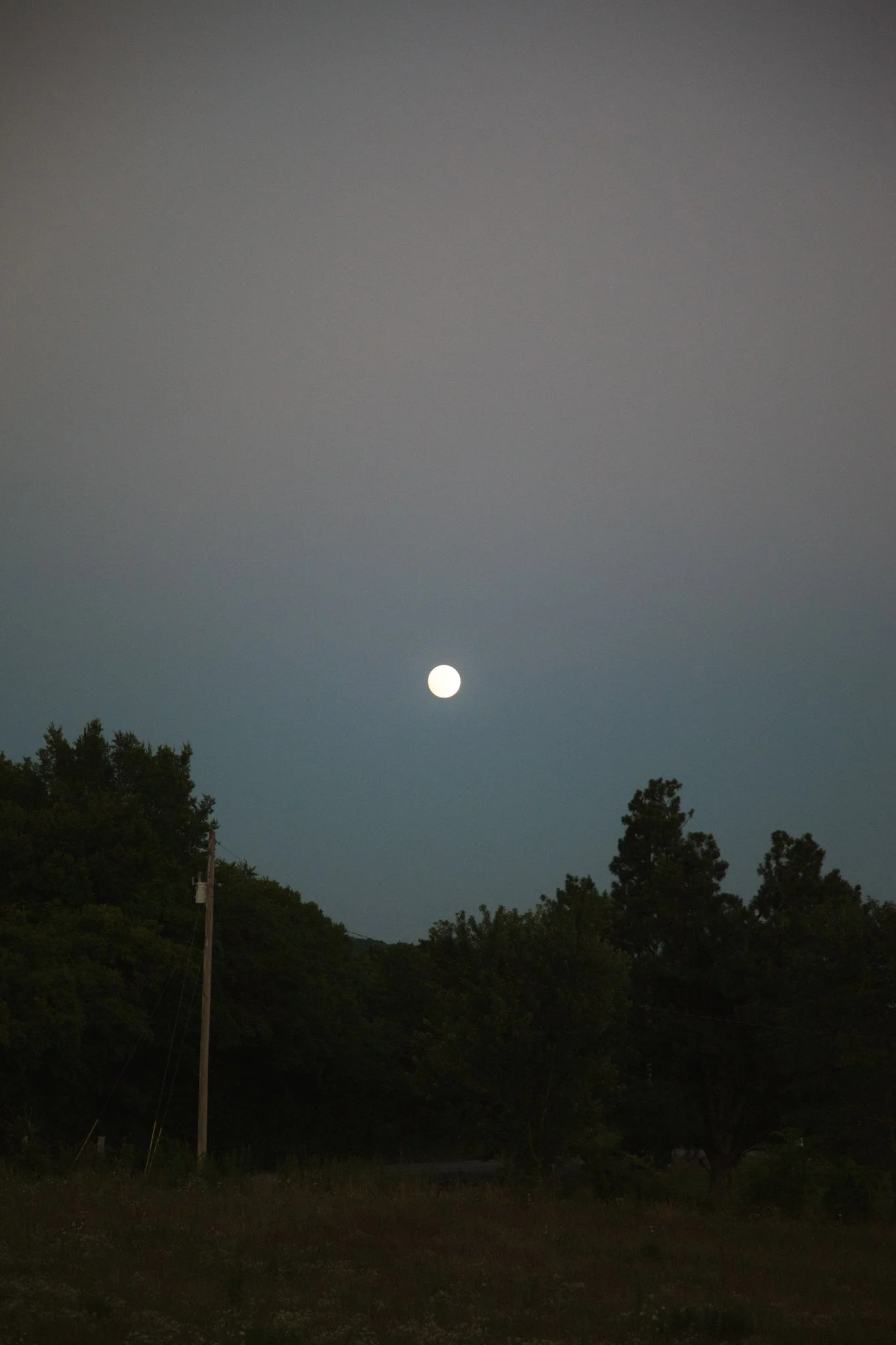Nighttime scene with a full moon in the sky, trees and bushes in the foreground, and power lines on utility poles.