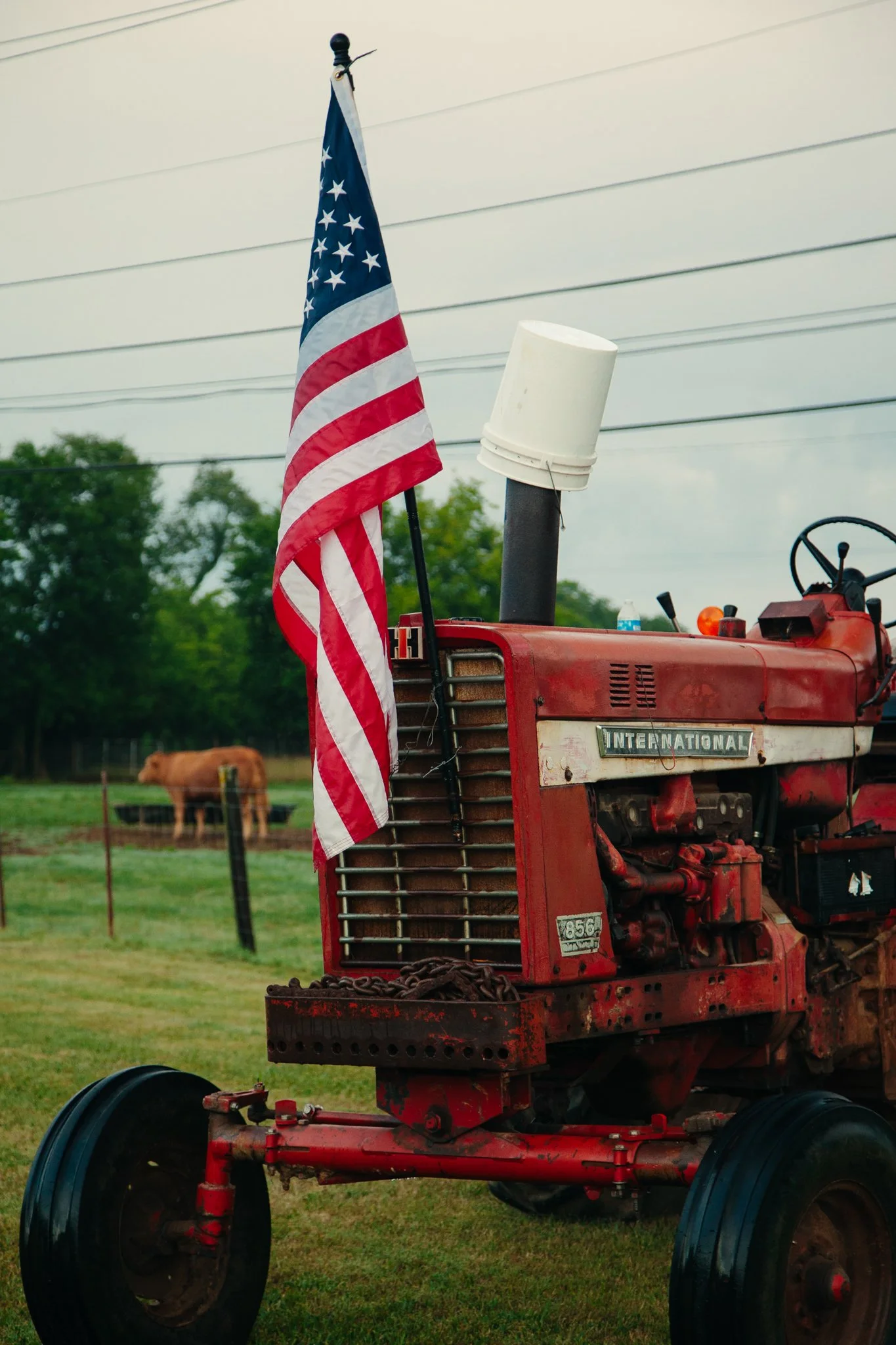Red tractor with an American flag mounted on a pole, parked in a grassy field with cows and trees in the background, during cloudy weather.