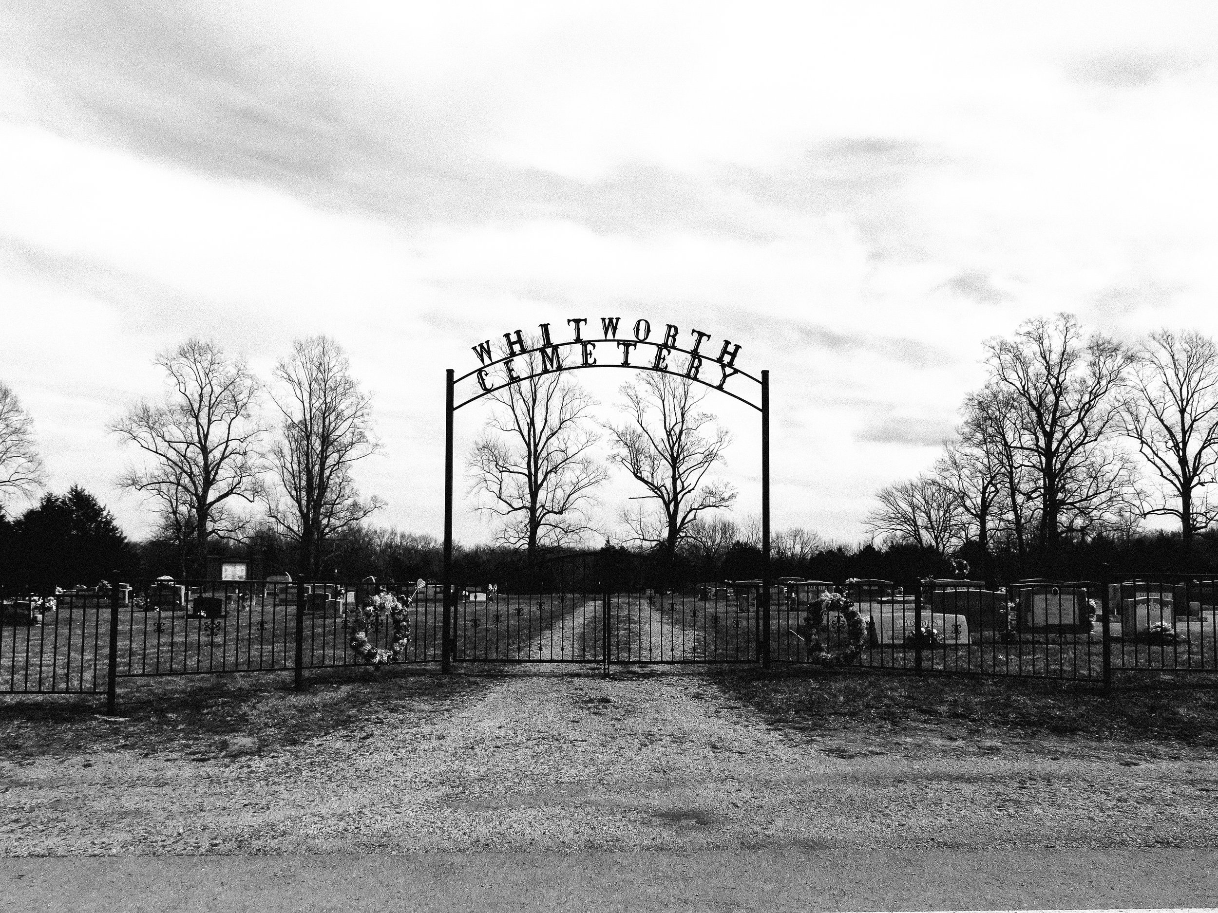 Graveyard scene with leafless trees and a metal fence, with a cemetery in the background. The sky is cloudy.