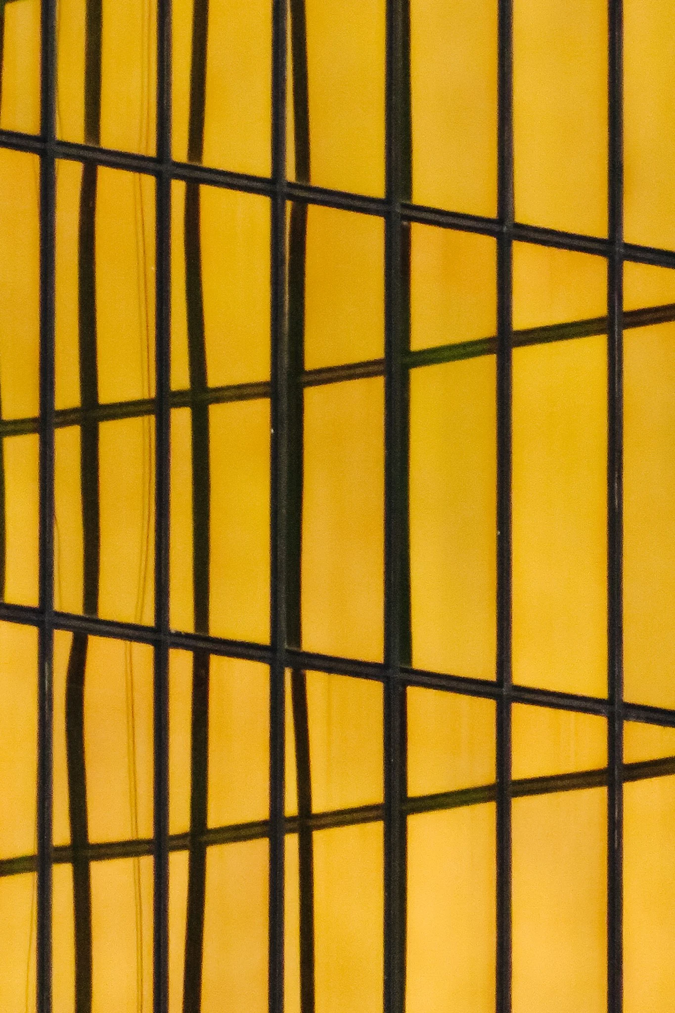 Close-up of a yellow wall with a black metal grid or cage in front of it.