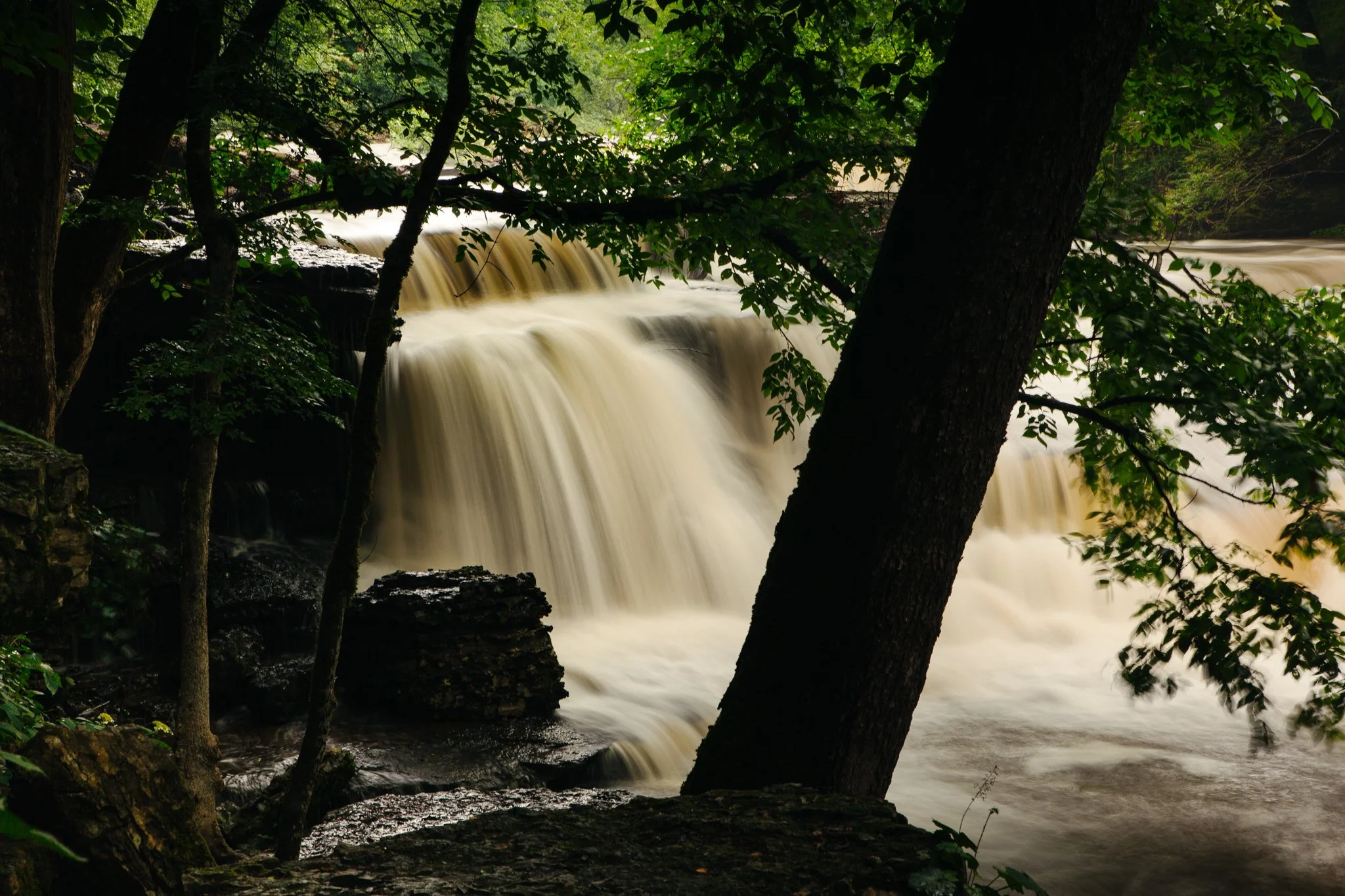 A waterfall flowing through a forest with trees and green foliage.