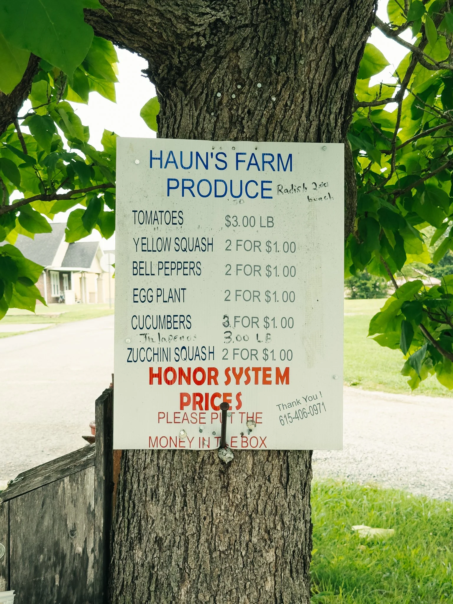 A farm produce price list attached to a tree trunk with green leaves surrounding it. The sign includes items such as tomatoes, yellow squash, bell peppers, eggplant, cucumbers, zucchini squash, and honor system prices.