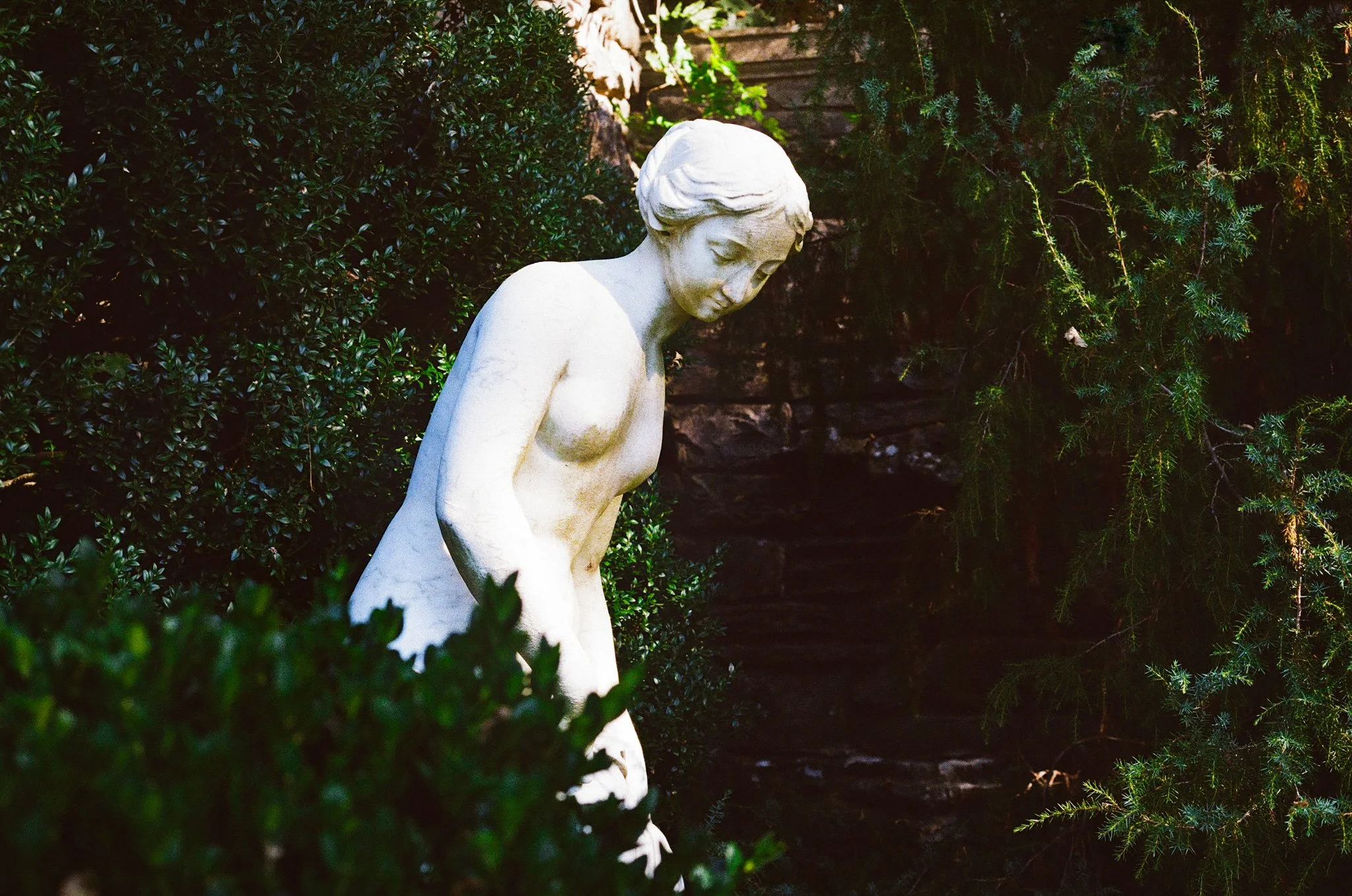A white marble statue of a woman with her head bowed, surrounded by green bushes and pine trees.