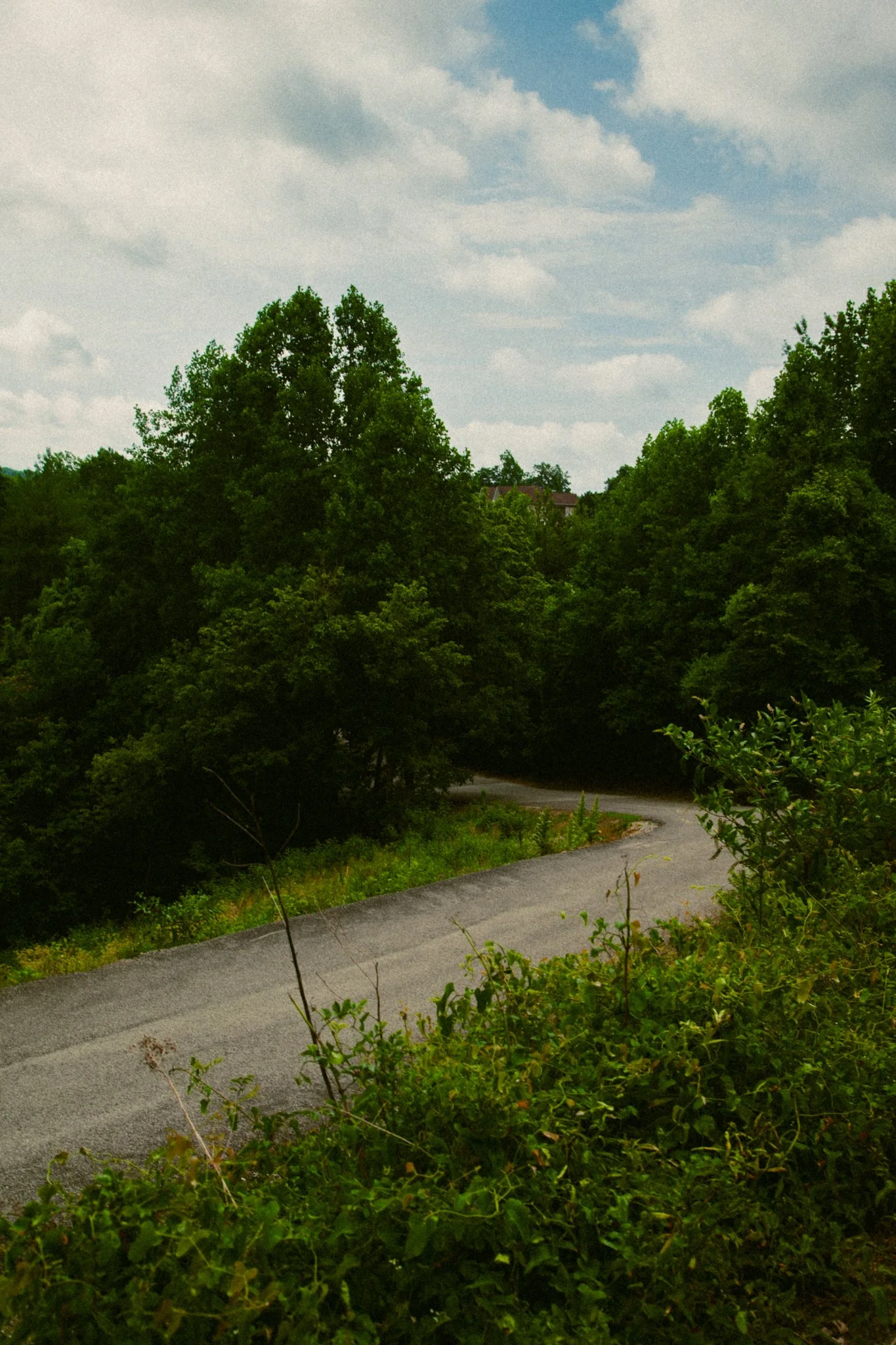 A winding road on a hill surrounded by dense green trees under a partly cloudy sky.