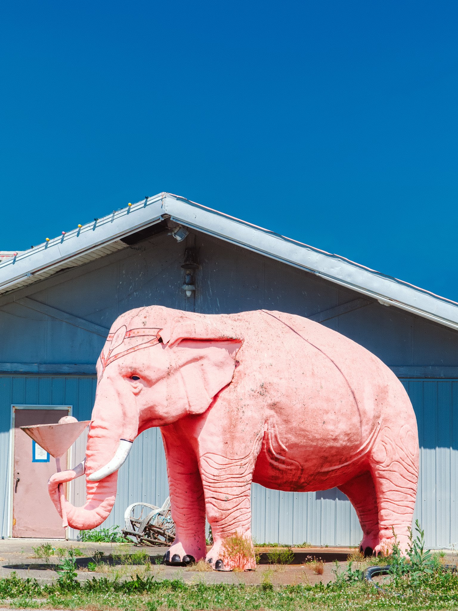 Pink elephant sculpture standing outside a building with a blue siding and a blue roof, under a clear blue sky.
