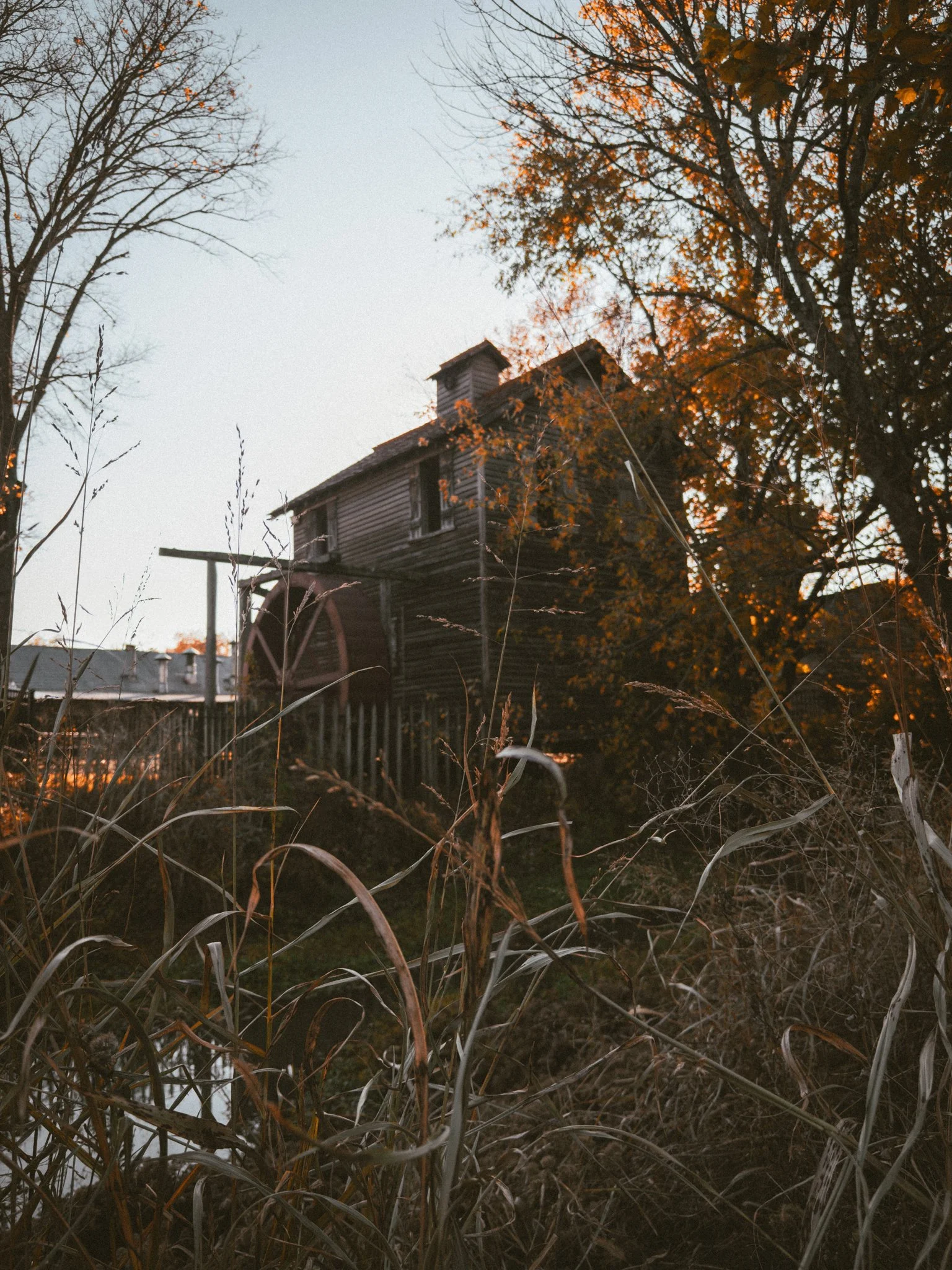 An old wooden house with a chimney nestled among trees with autumn leaves, surrounded by overgrown grass and weeds.