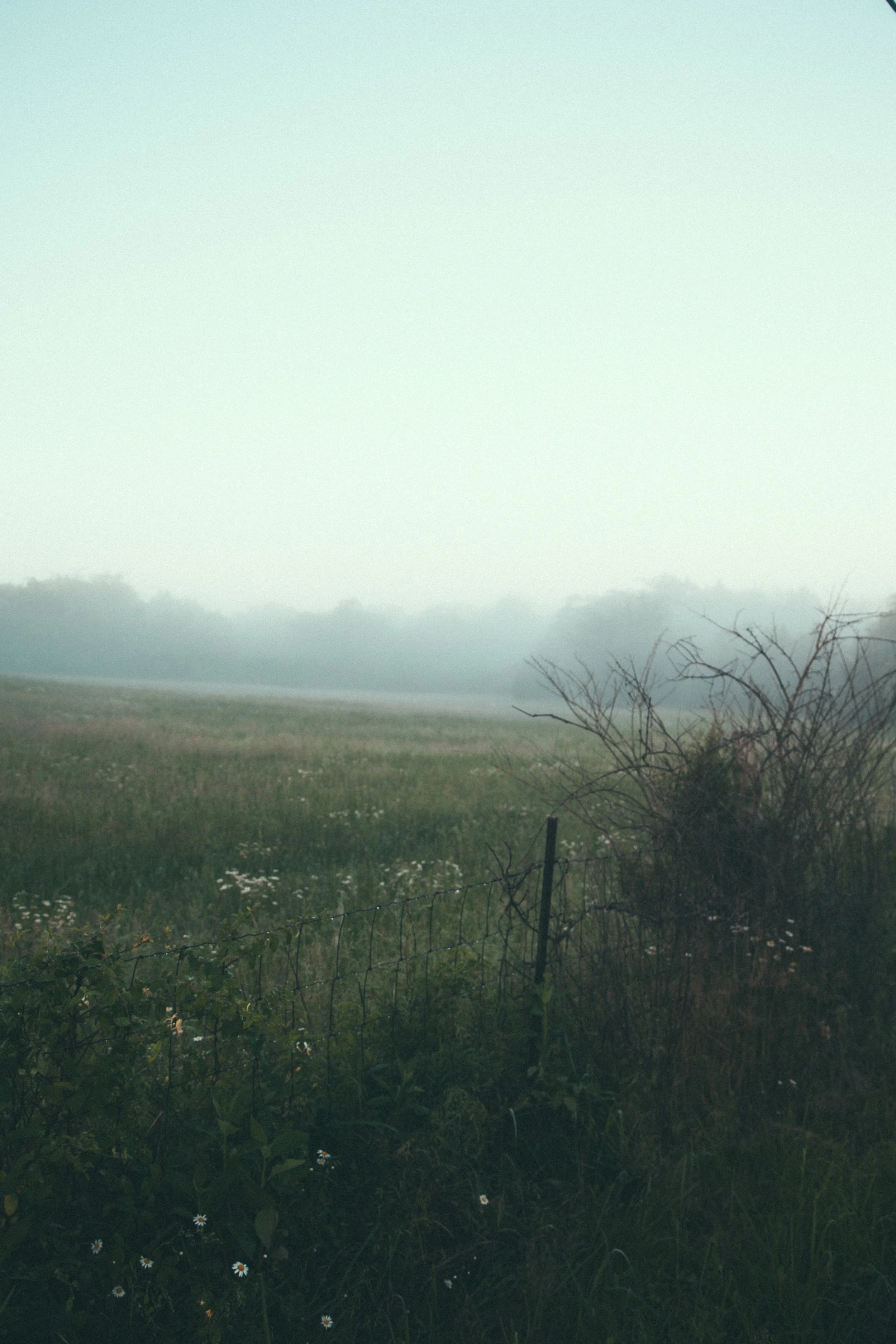 Sunday Morning - Fine Art Print