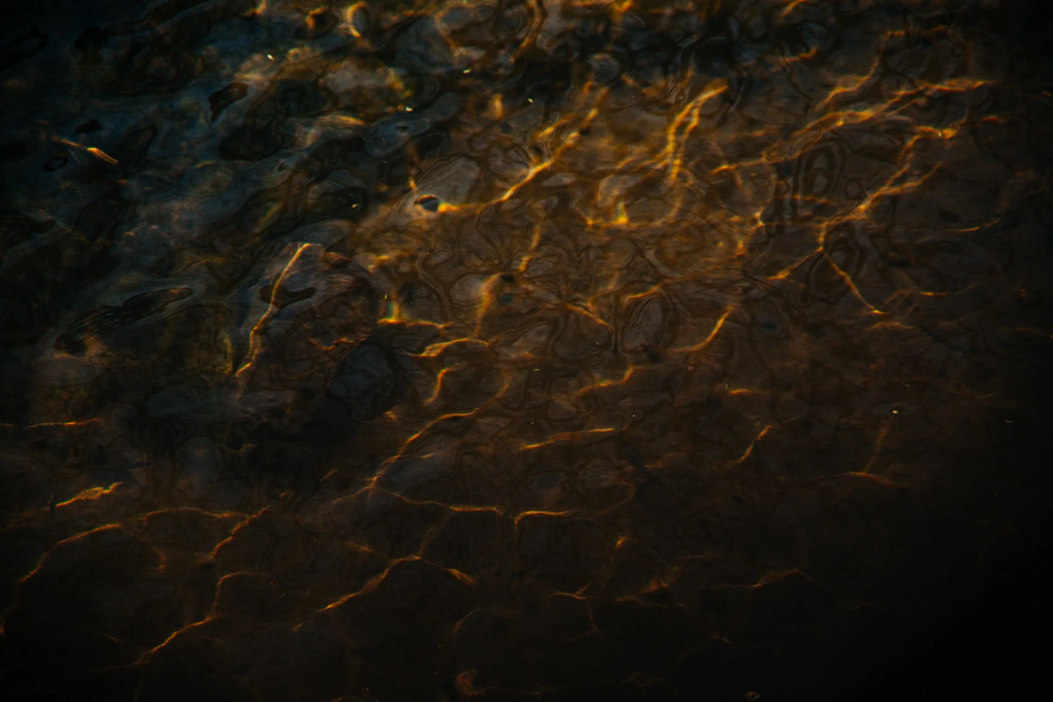 Close-up of a rippling water surface with reflections of light and dark areas.