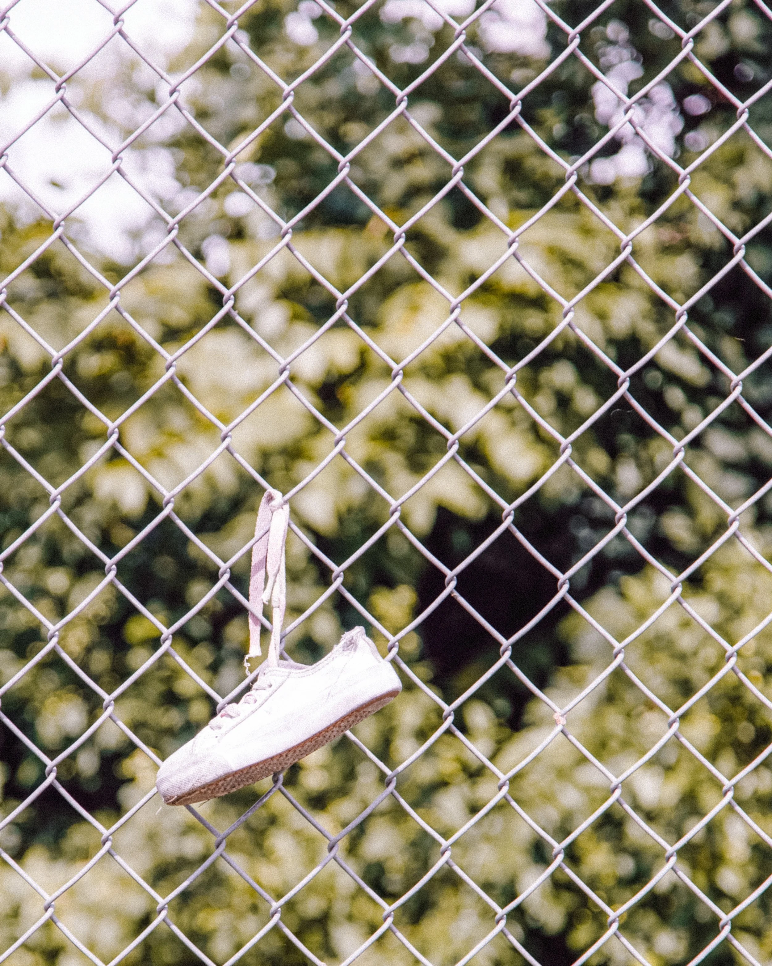 A worn white sneaker hanging on a chain-link fence, with blurred background of green foliage.