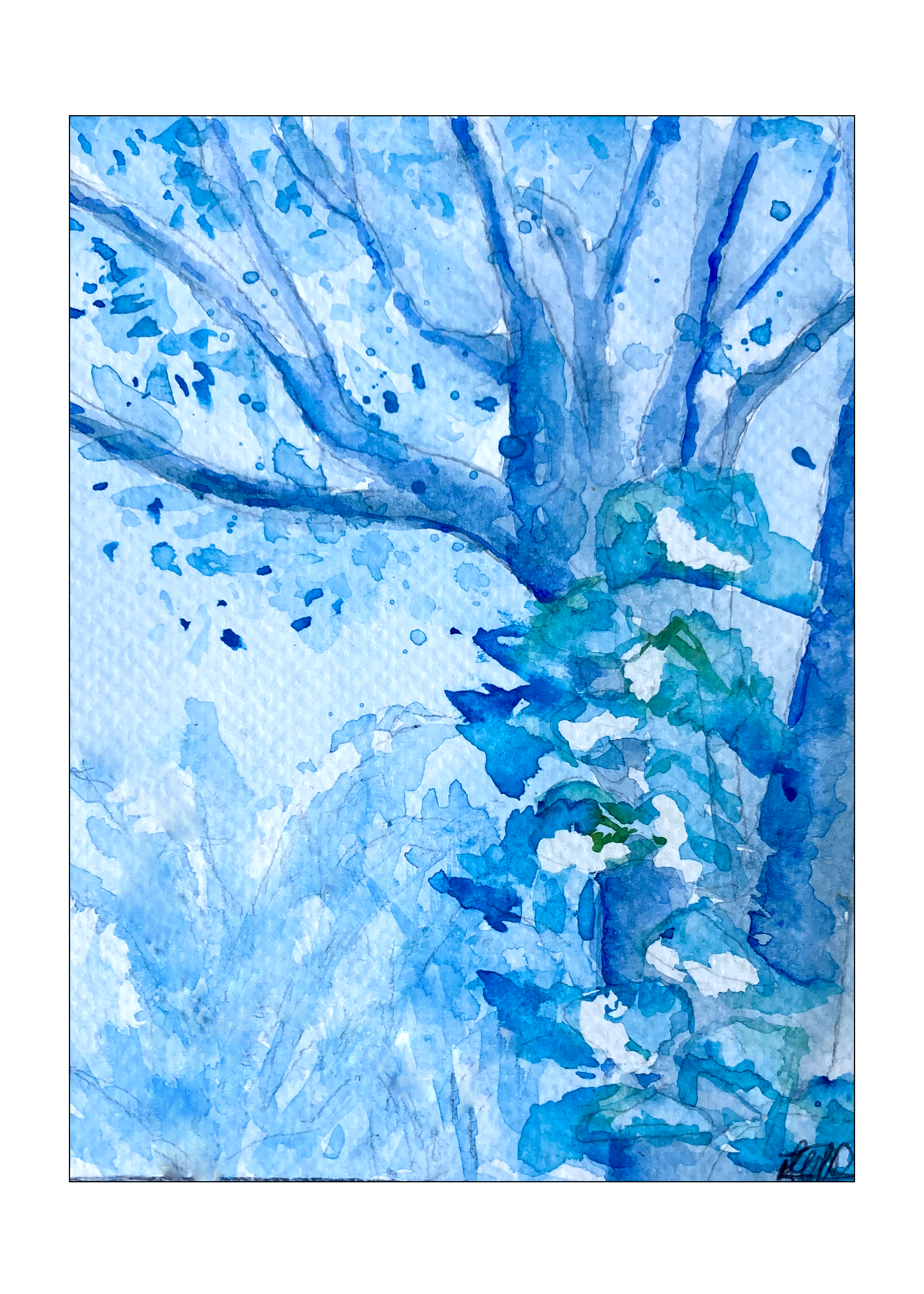 "Cenízaro (Samanea saman)" 2025 Watercolor  6x8in. $111
