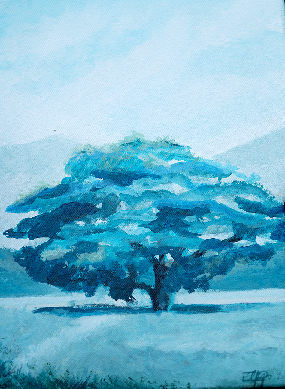 "Guanacaste (Enterolobium cyclocarpum)" 2026. Acrylic on Canvas 12x15.5 in. $222