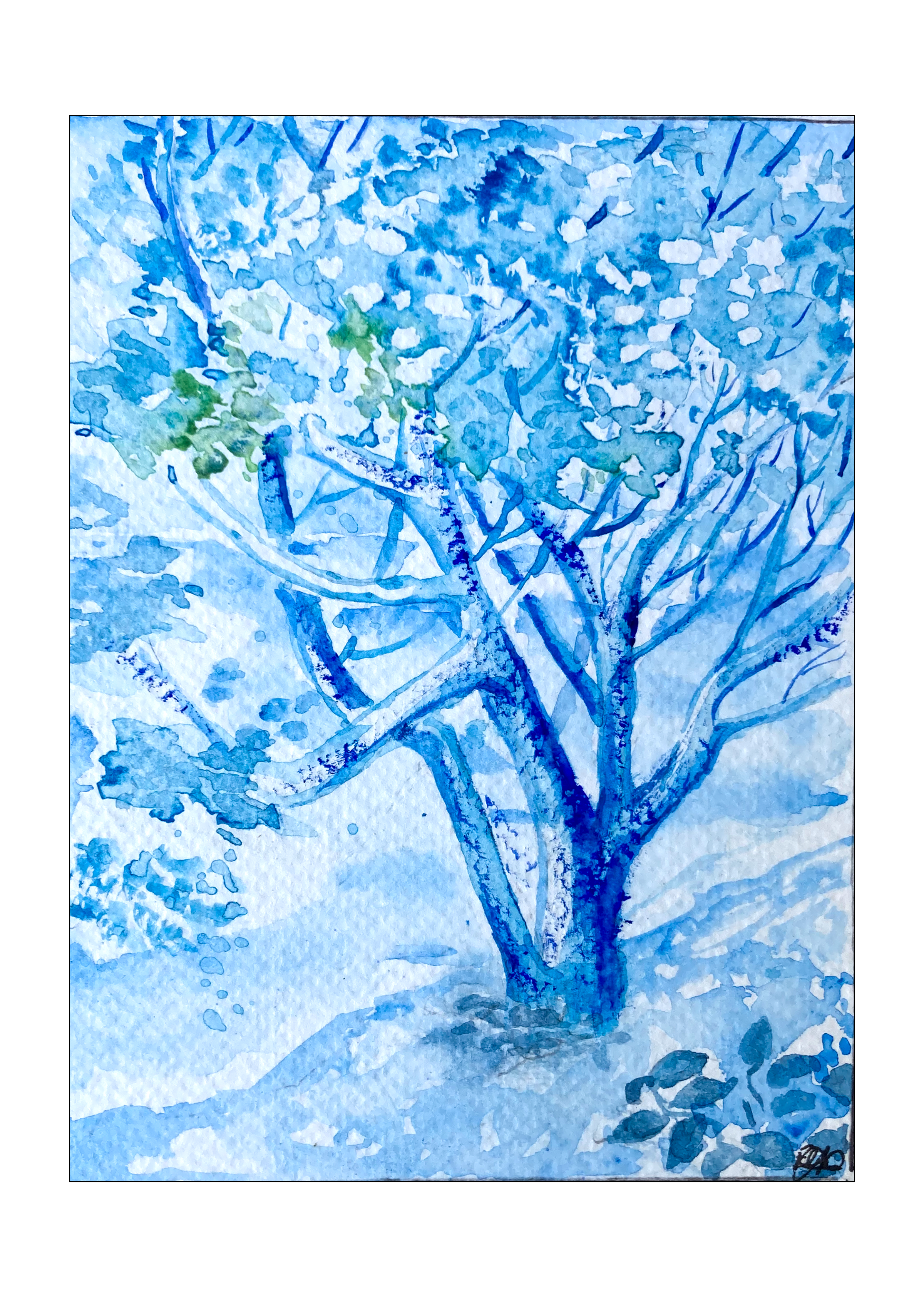 "Romerillo (Suriana marítima)" 2025 Watercolor  6x8in. $111