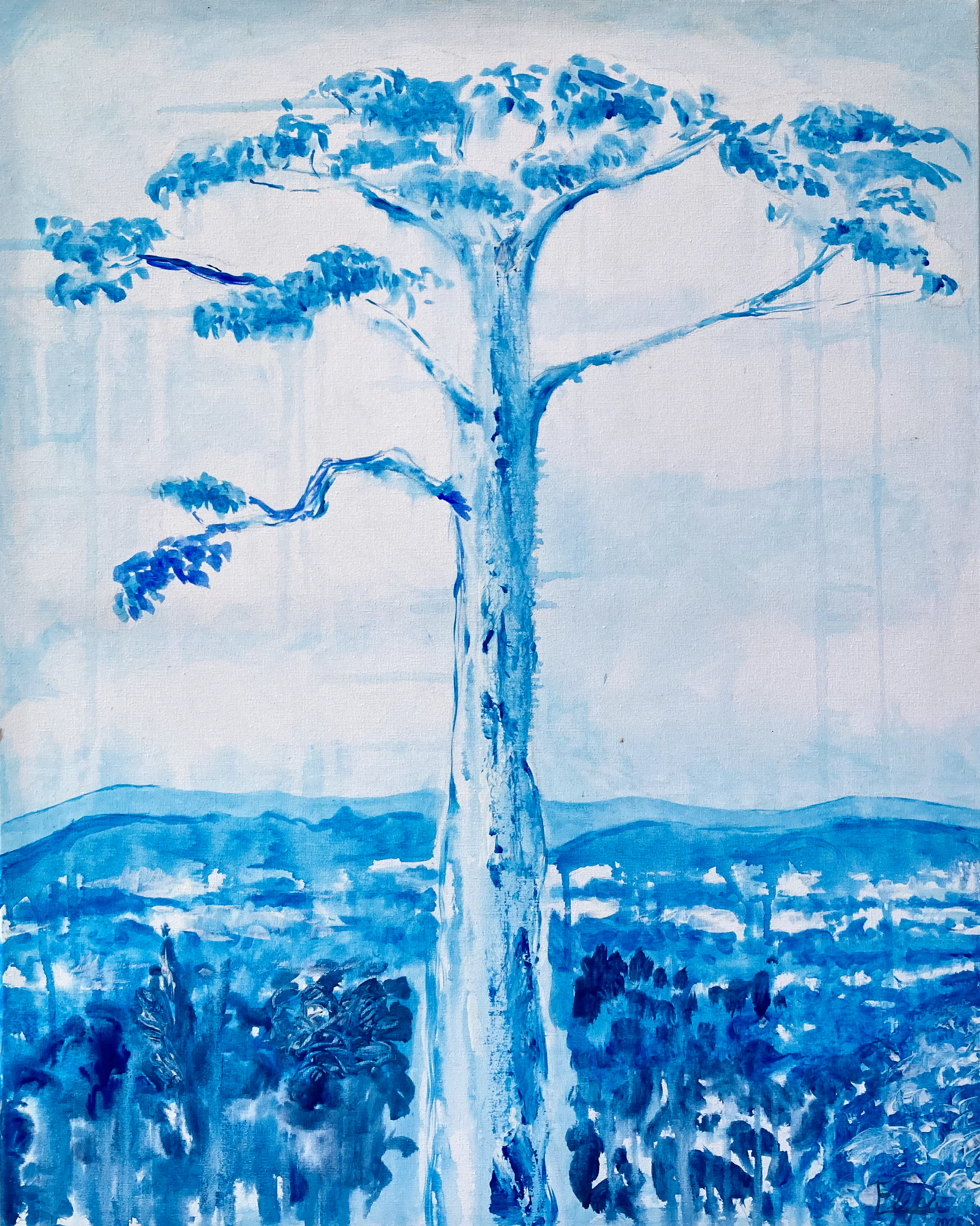 "Ceiba Barrigona (Ceiba petandra)" 2025.                                    

Acrylic on Canvas 24x28 in. $555
