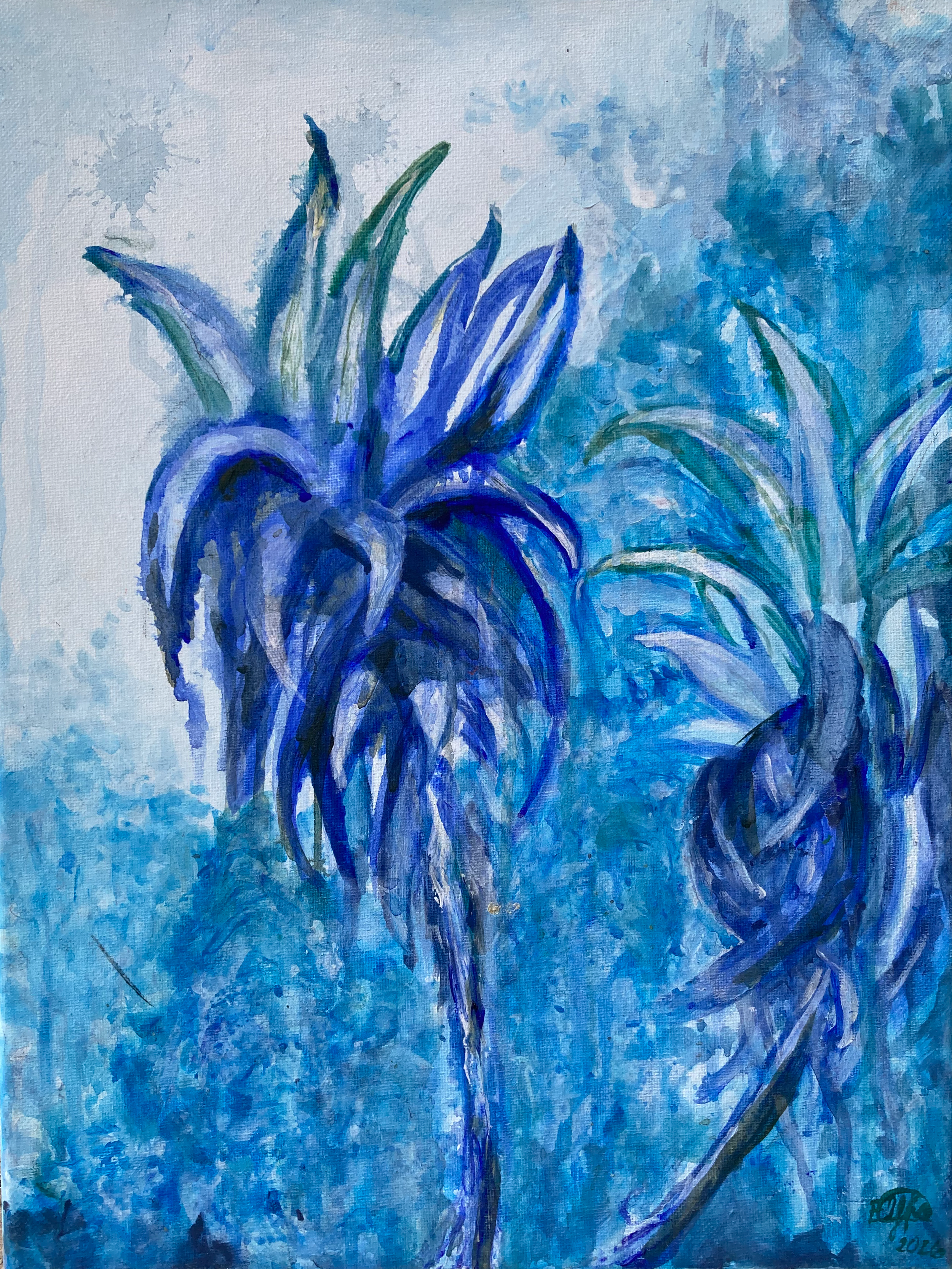 "Flor de Itabo (Yucca gigantea)" 2025.
                                                                                       
Acrylic on Canvas 12x15.5 in. $222