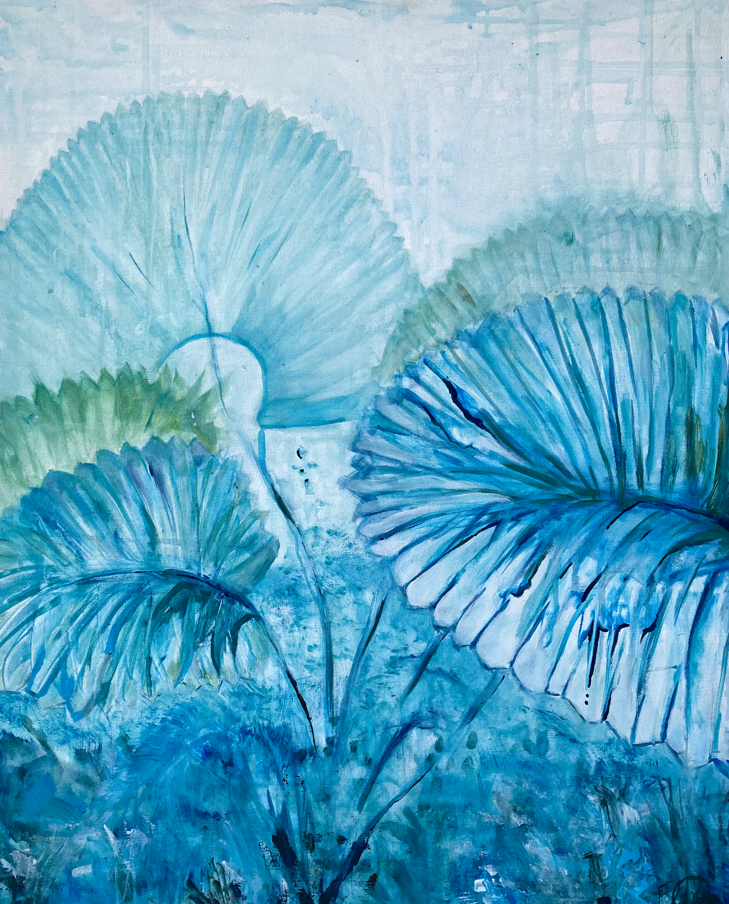 "Palma abanico (Licuala grandis)" 2025.
Acrylic on Canvas 24x28 in. $555