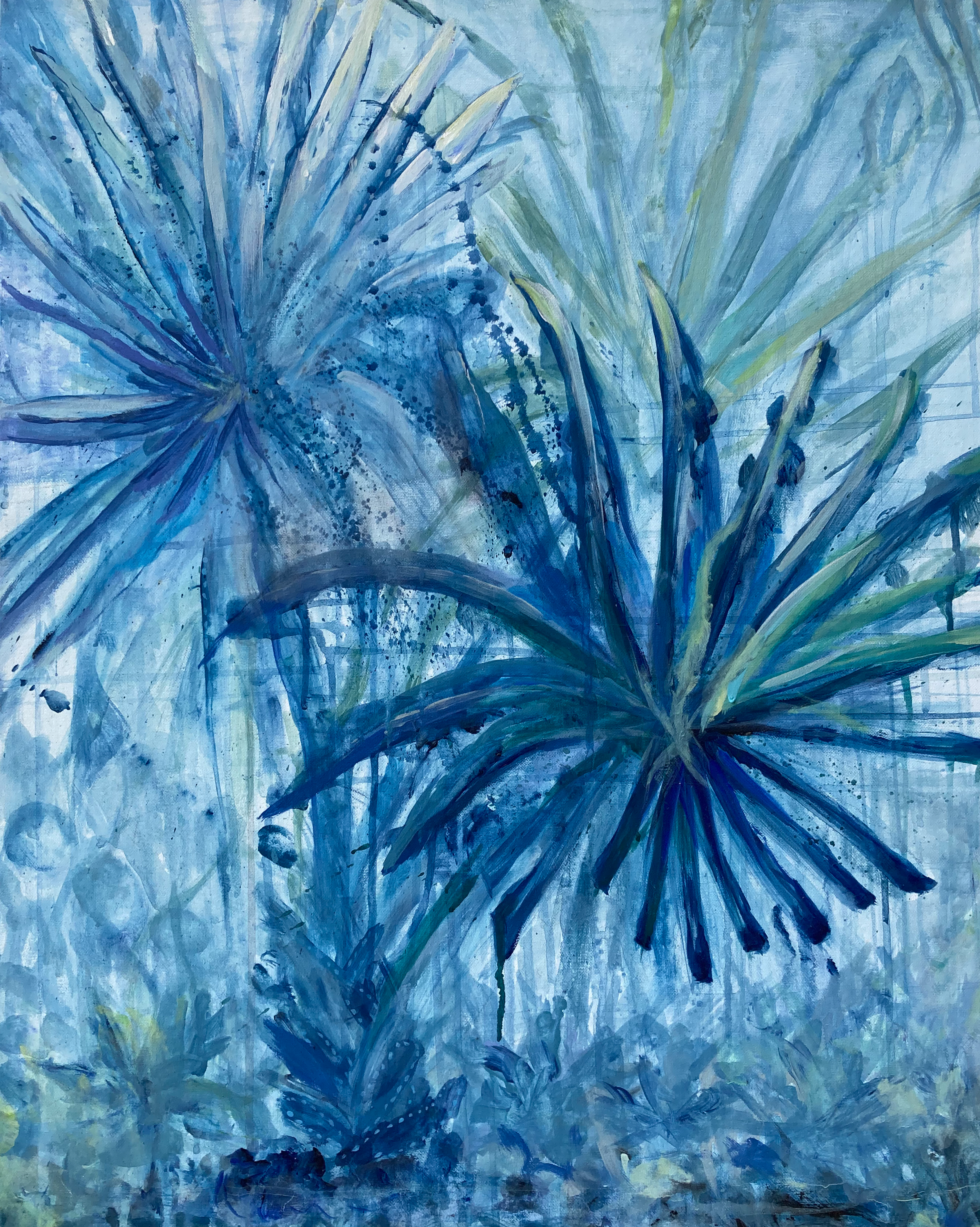  "Palma azul (Birsmackia nobilís)" 2025.
Acrylic on Canvas 24x28 in. $555